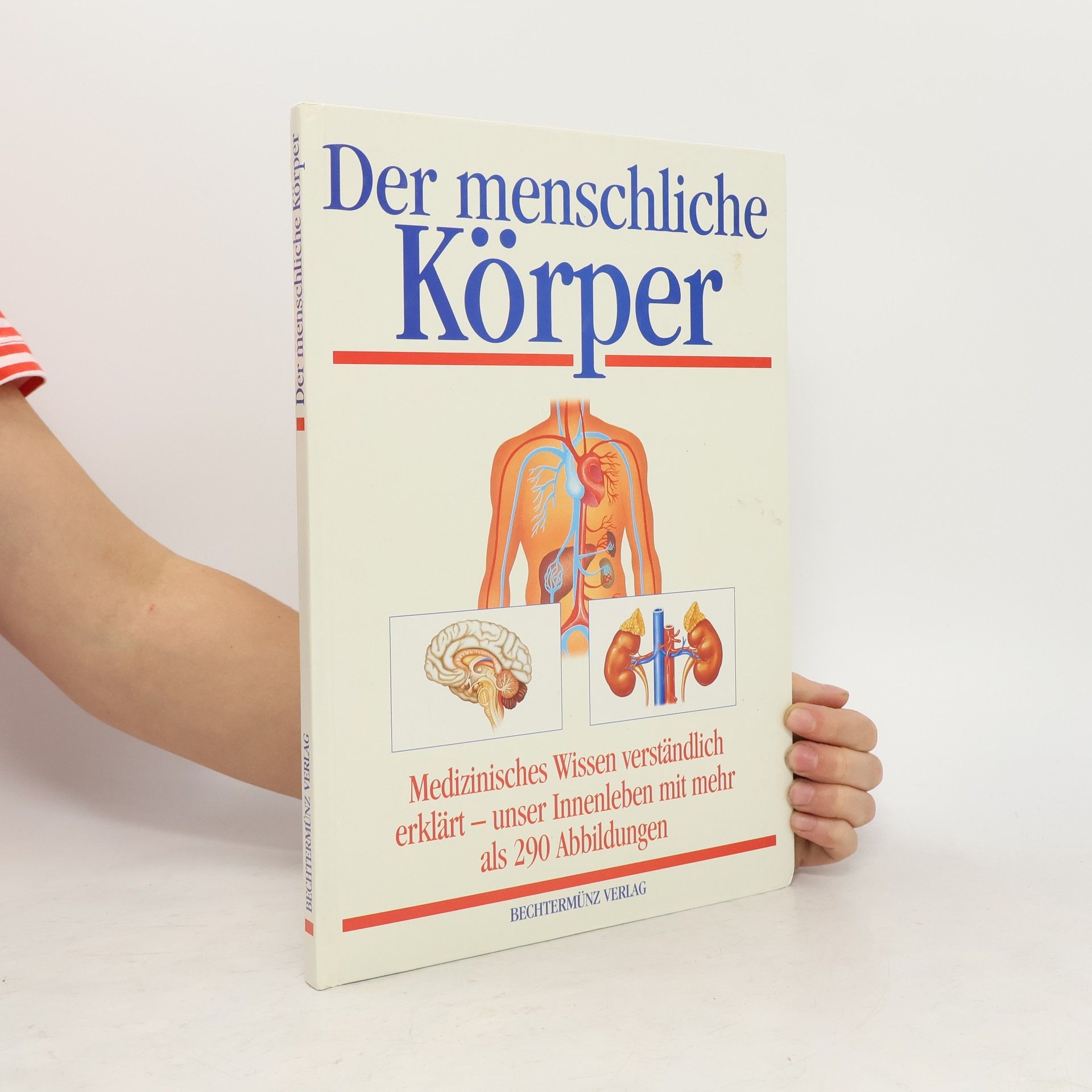 Michael Damm Der menschliche Körper