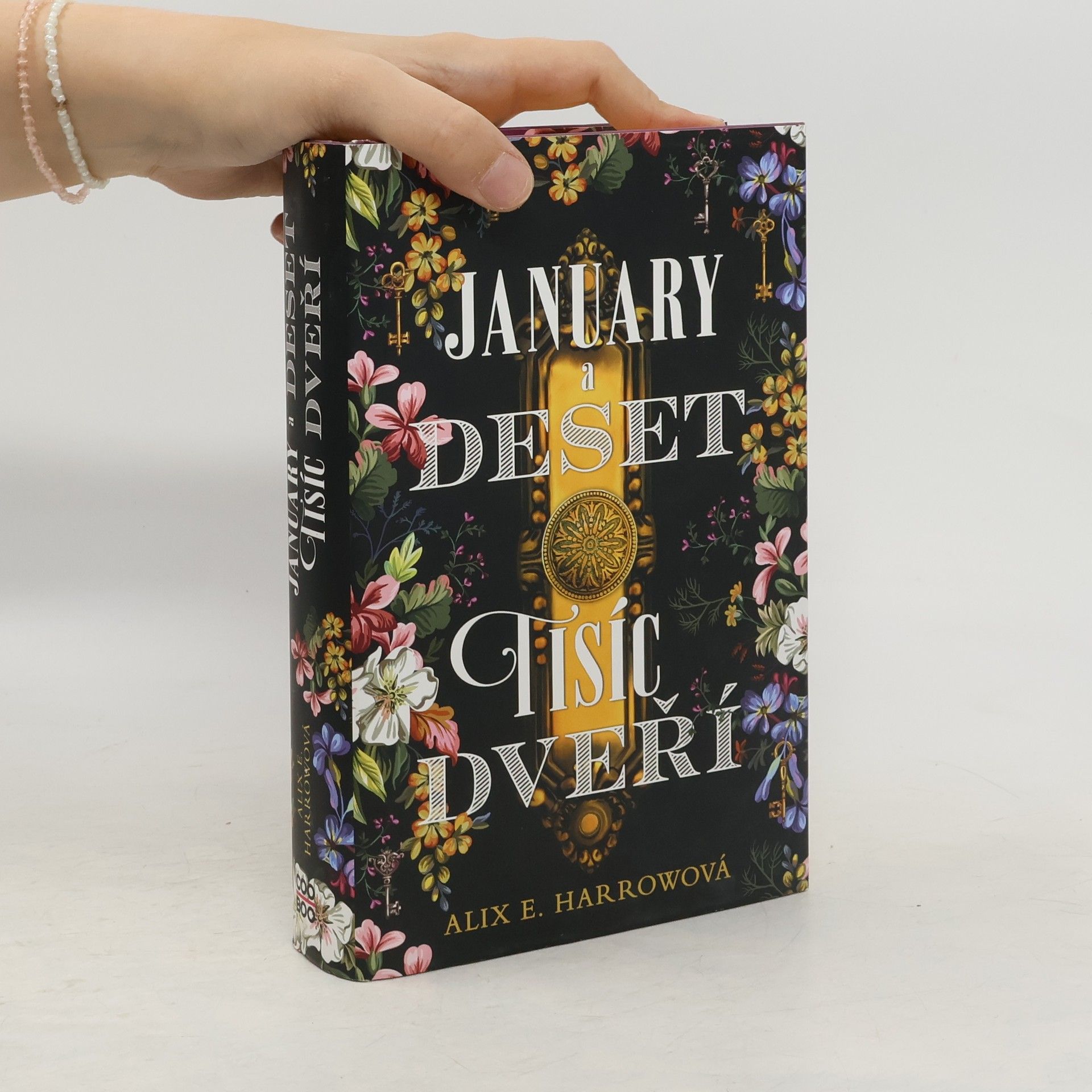 Alix E. Harrow January a Deset tisíc dveří