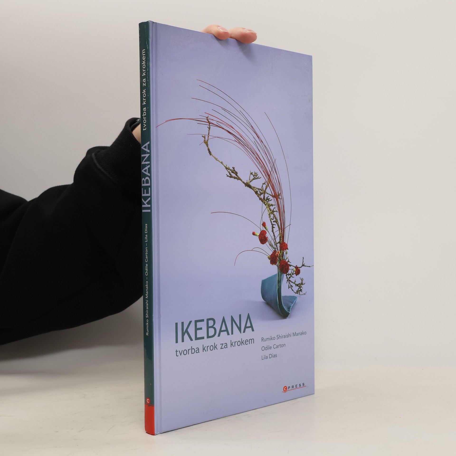 Lila Dias Ikebana. Tvorba krok za krokem