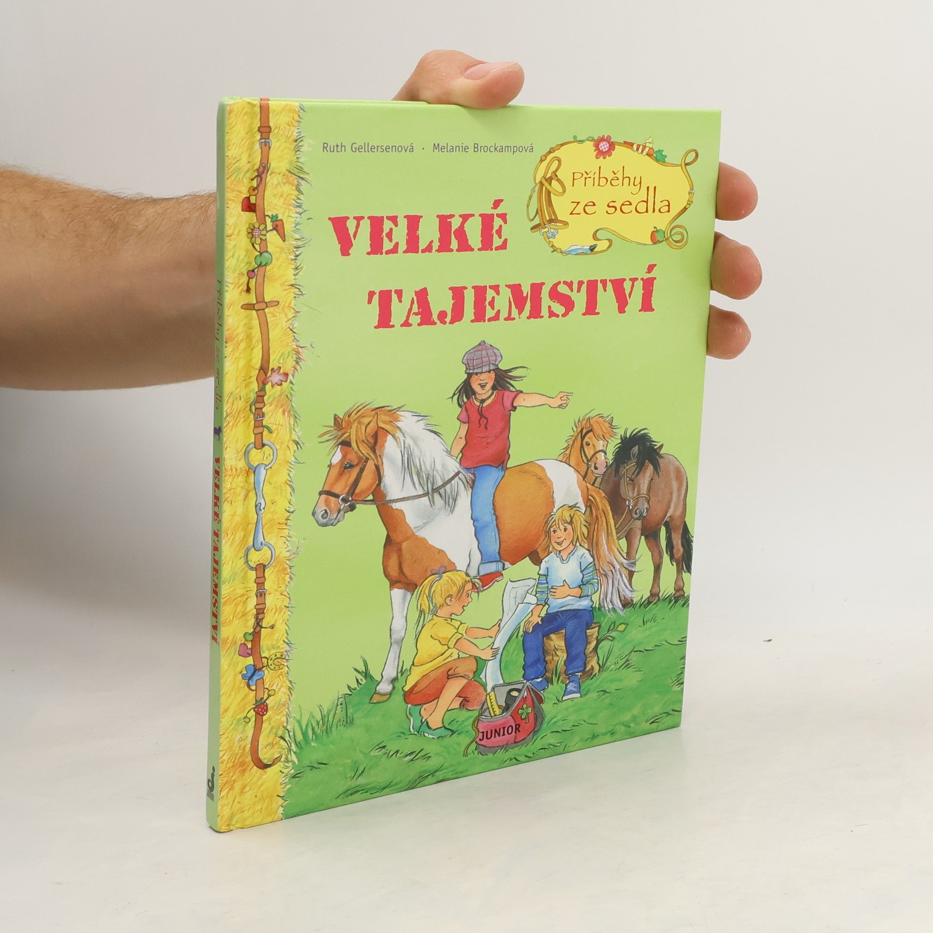 Ruth Gellersen Příběhy ze sedla. Velké tajemství