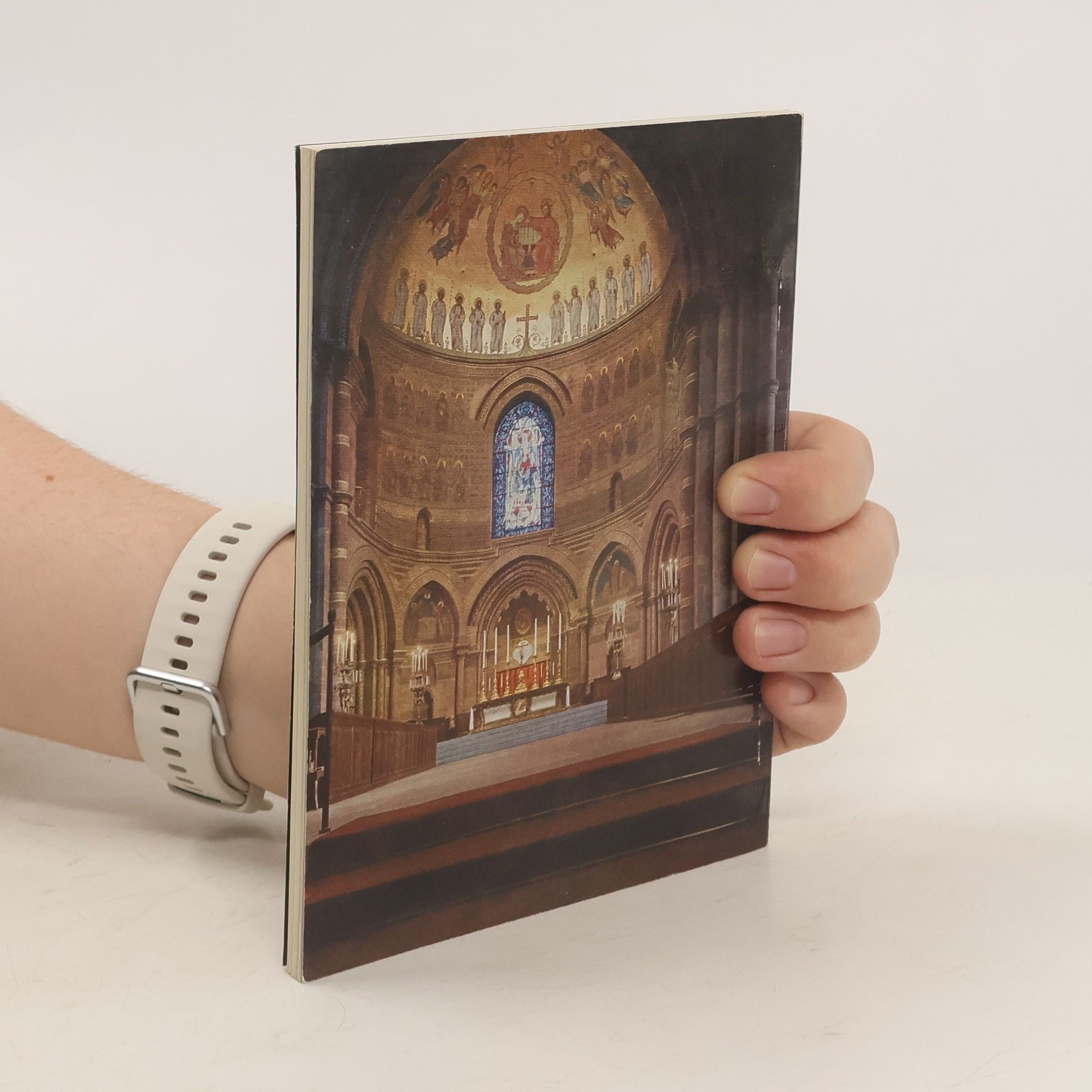 Théodore Rieger Das Straßburger Münster und seine astronomische Uhr