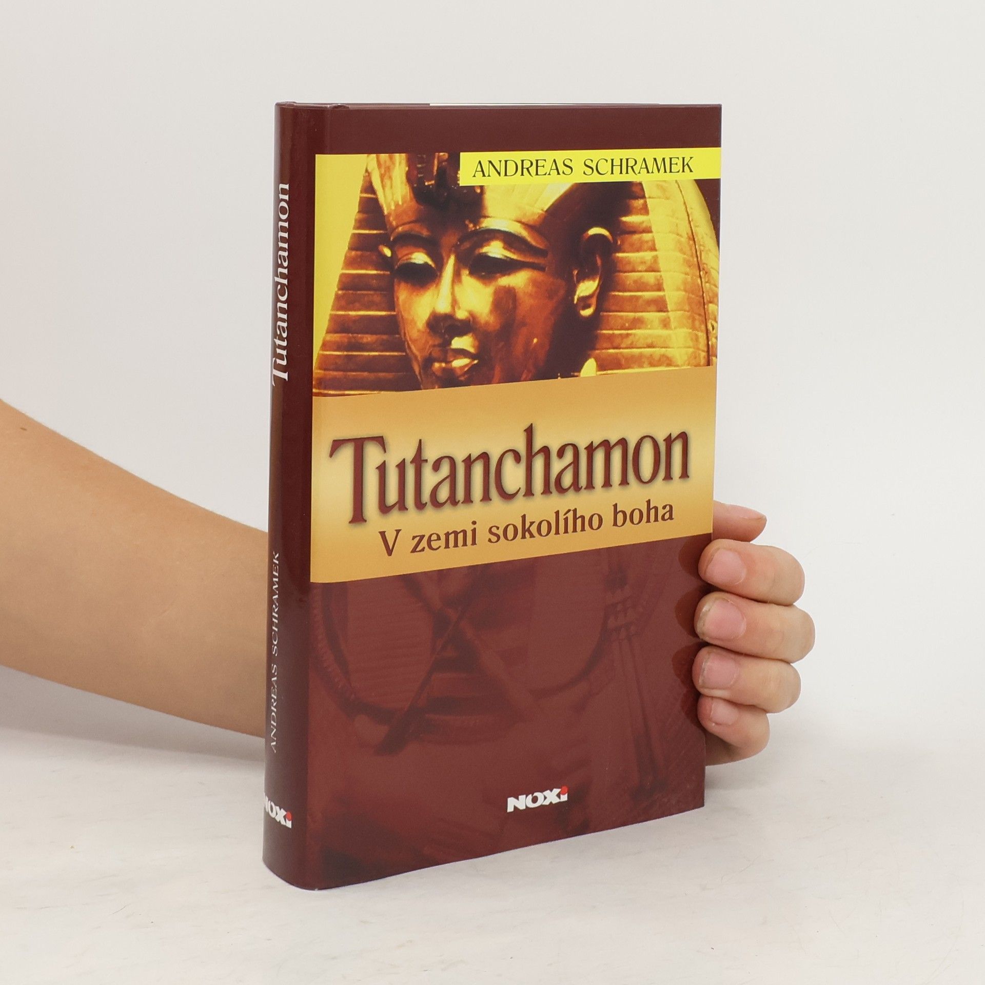 Rudolf Řežábek Tutanchamon: V zemi sokolího boha