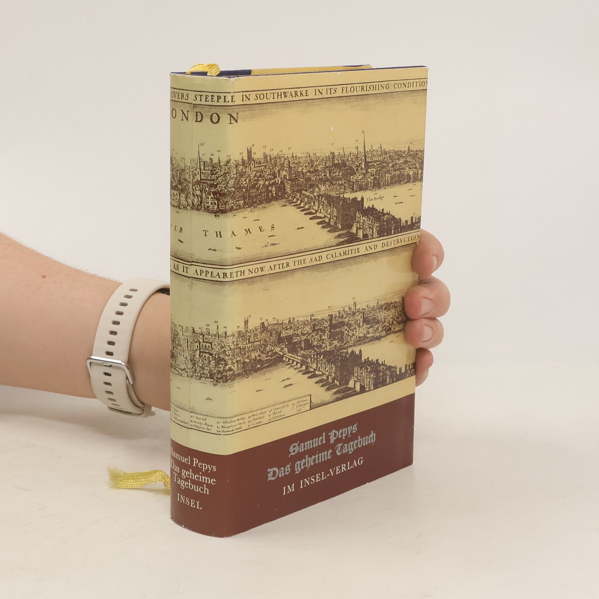 Samuel Pepys Das geheime Tagebuch