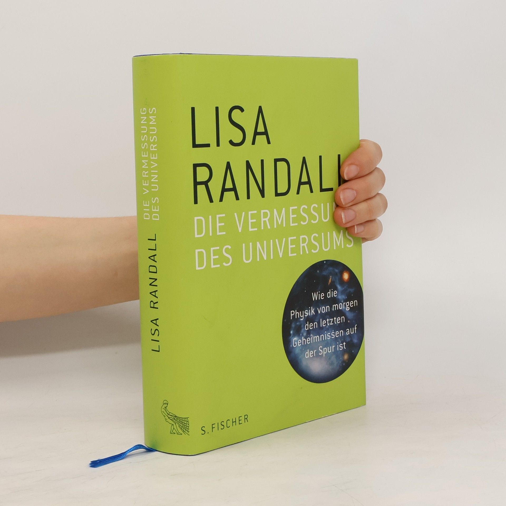 Lisa Randall Die Vermessung des Universums