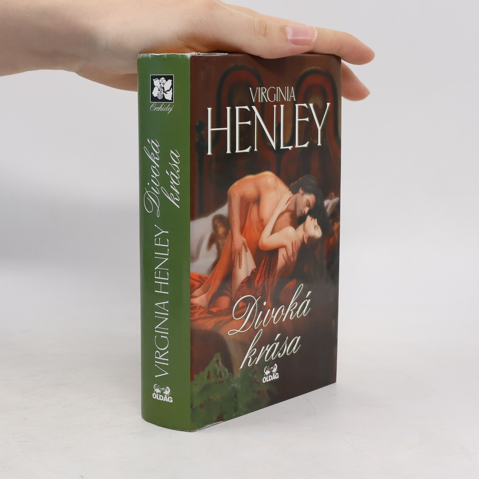 Virginia Henley Divoká krása