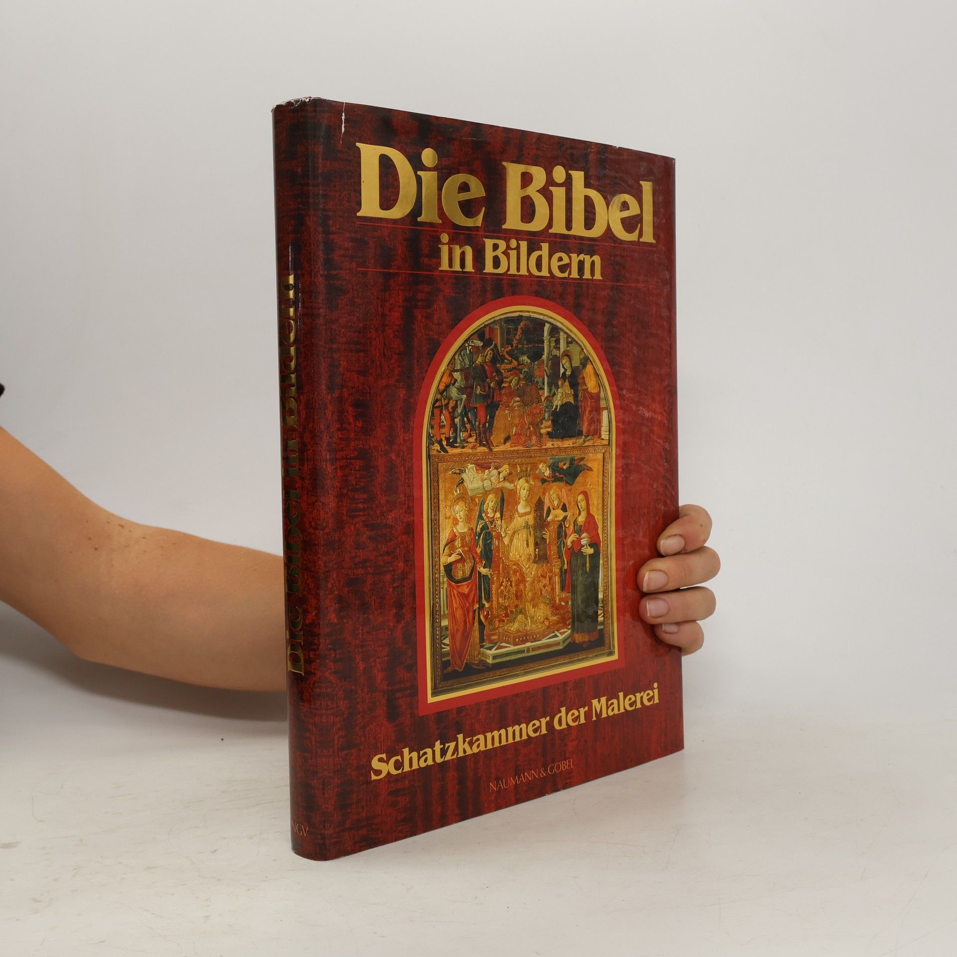 Autorenkollektiv Die Bibel in Bildern. Schatzkammer der Malerei