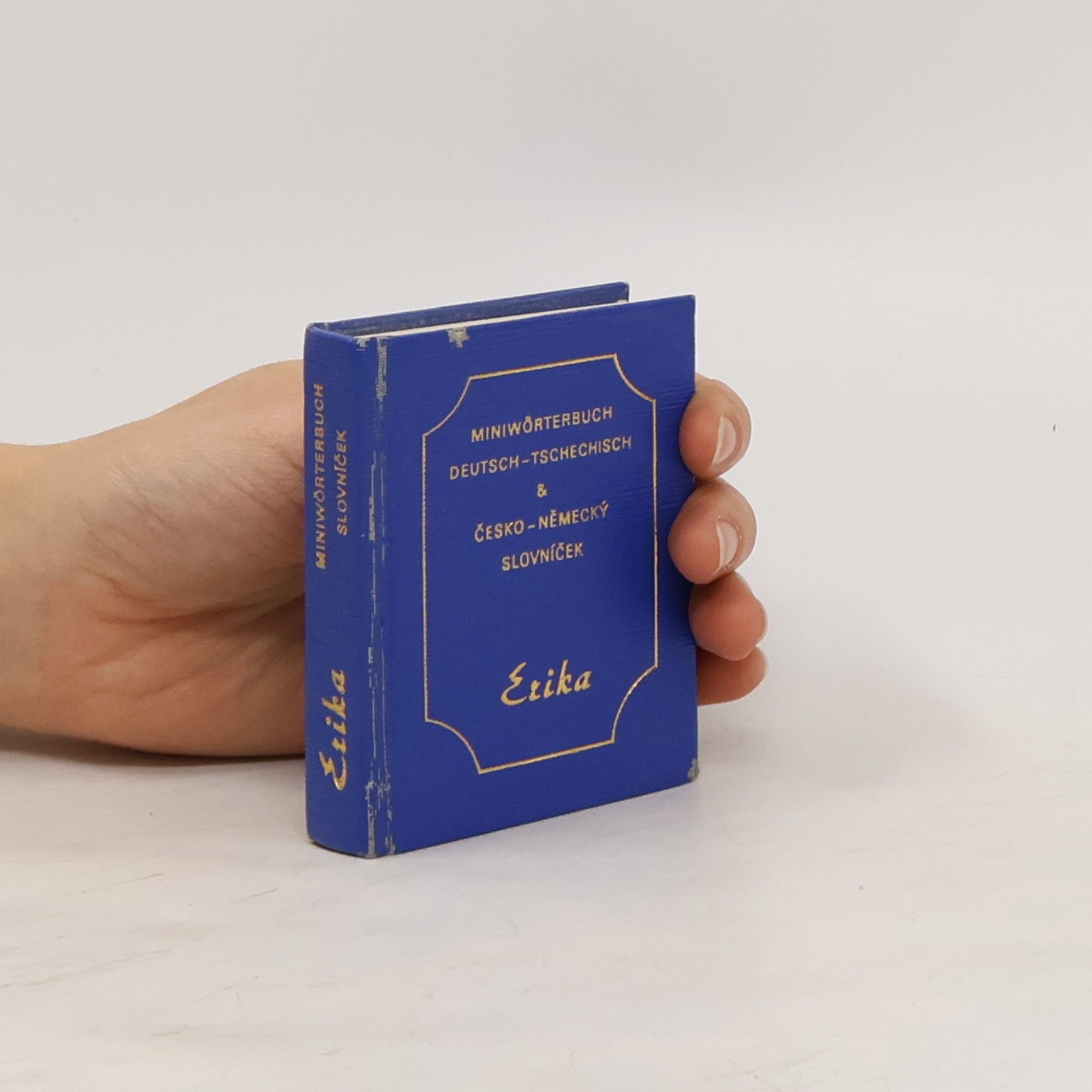 Collective Miniwörterbuch deutsch-tschechisch & česko-německý slovníček