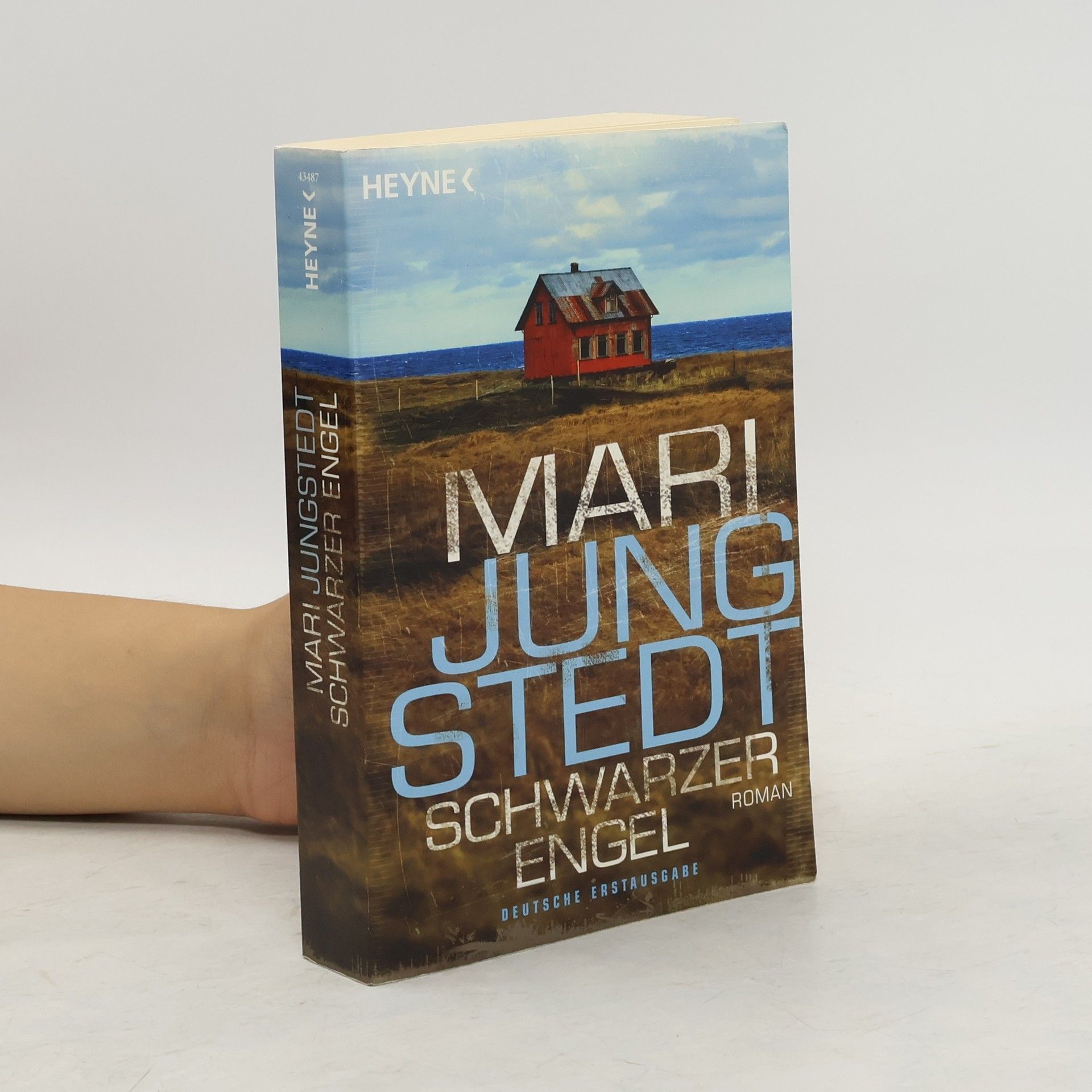 Mari Jungstedt Schwarzer Engel. Roman