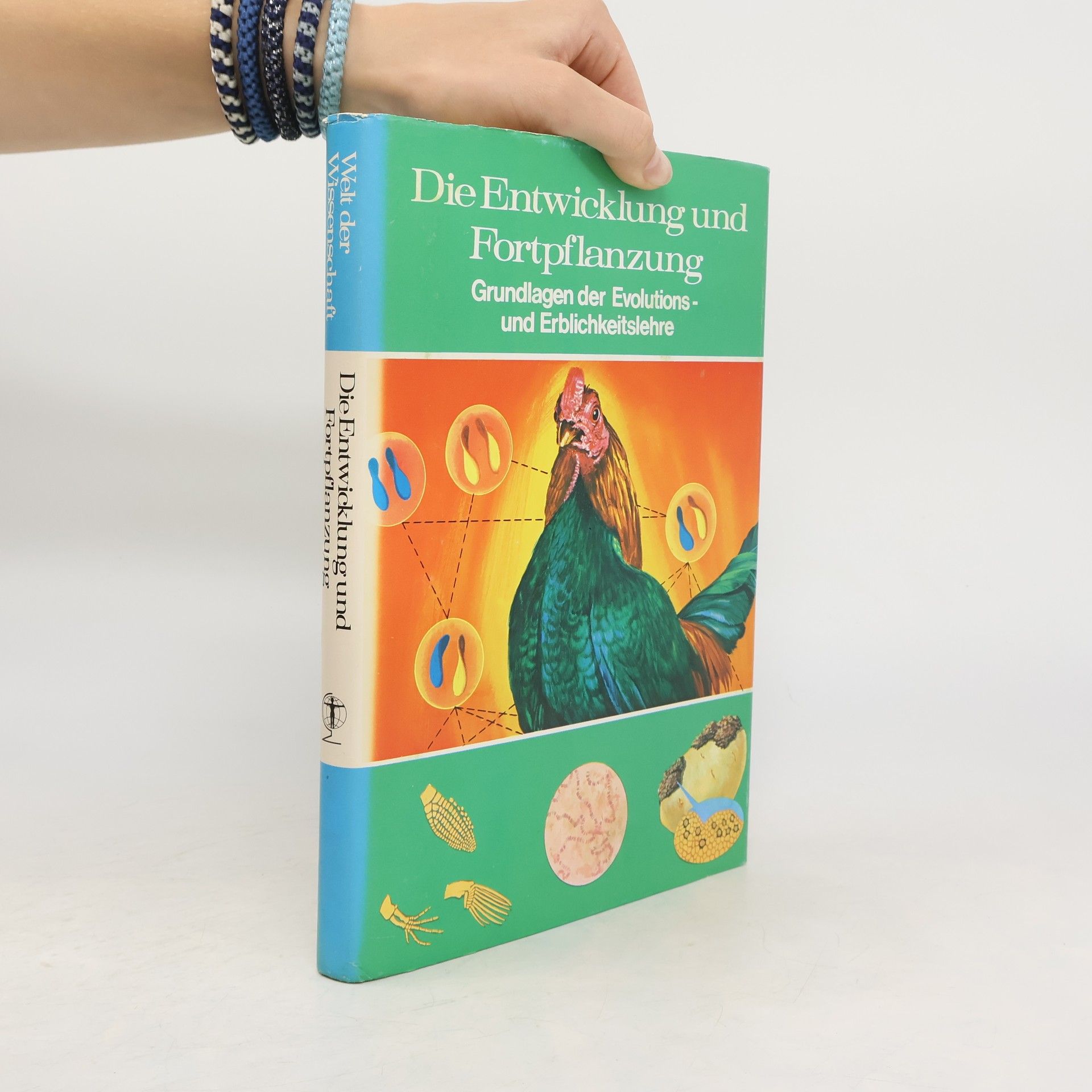 Autorenkollektiv Die Entwicklung und Fortpflanzung