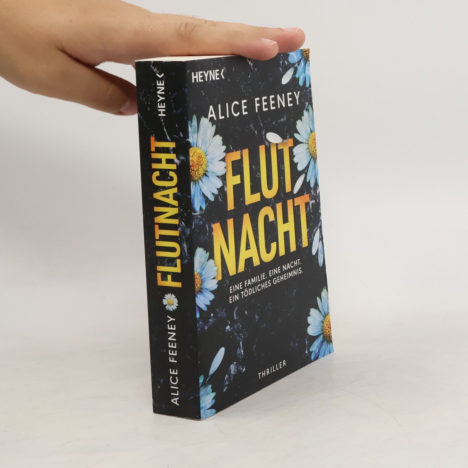 Alice Feeney Flutnacht – Eine Familie. Eine Nacht. Ein tödliches Geheimnis.. Thriller