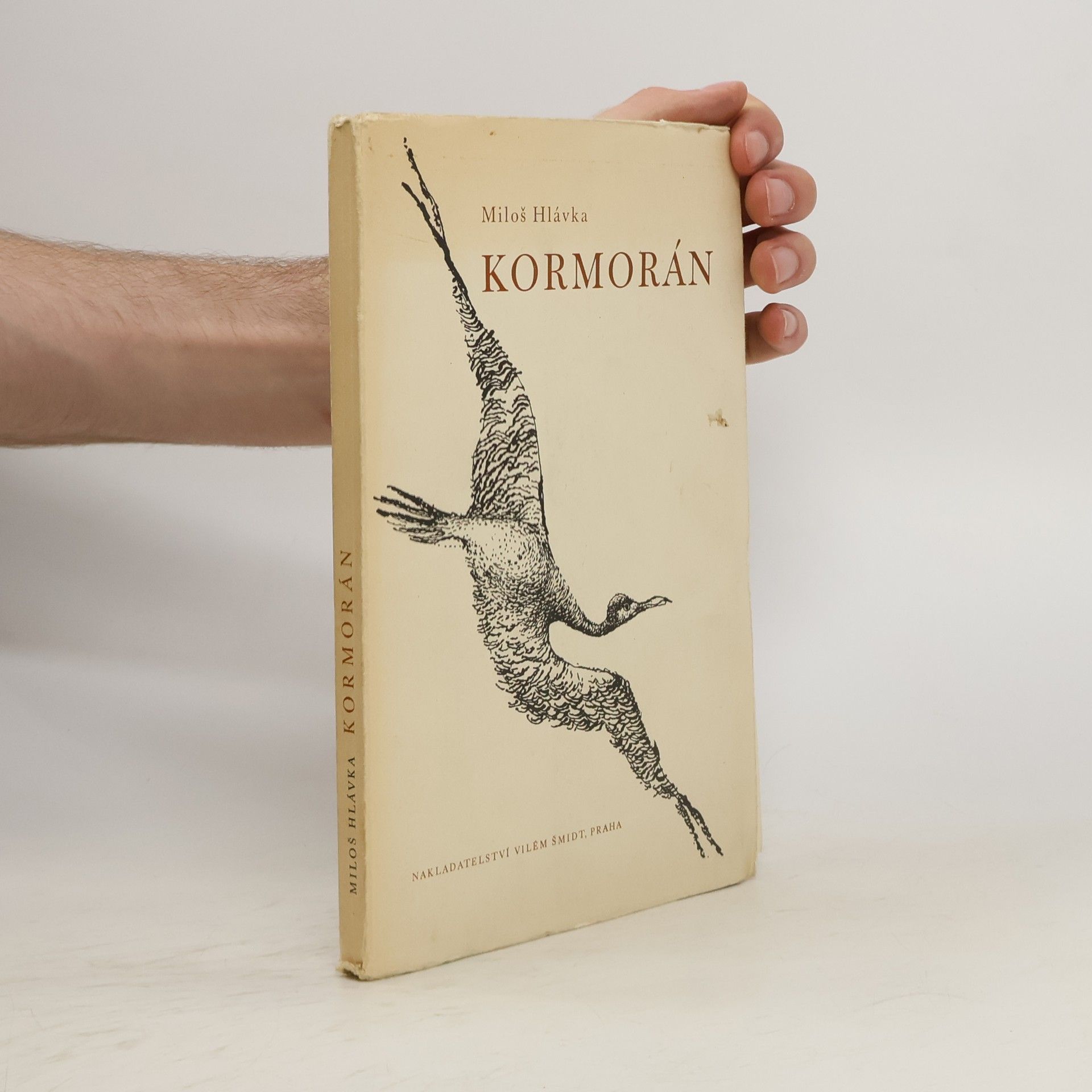Miloš Hlávka Kormorán