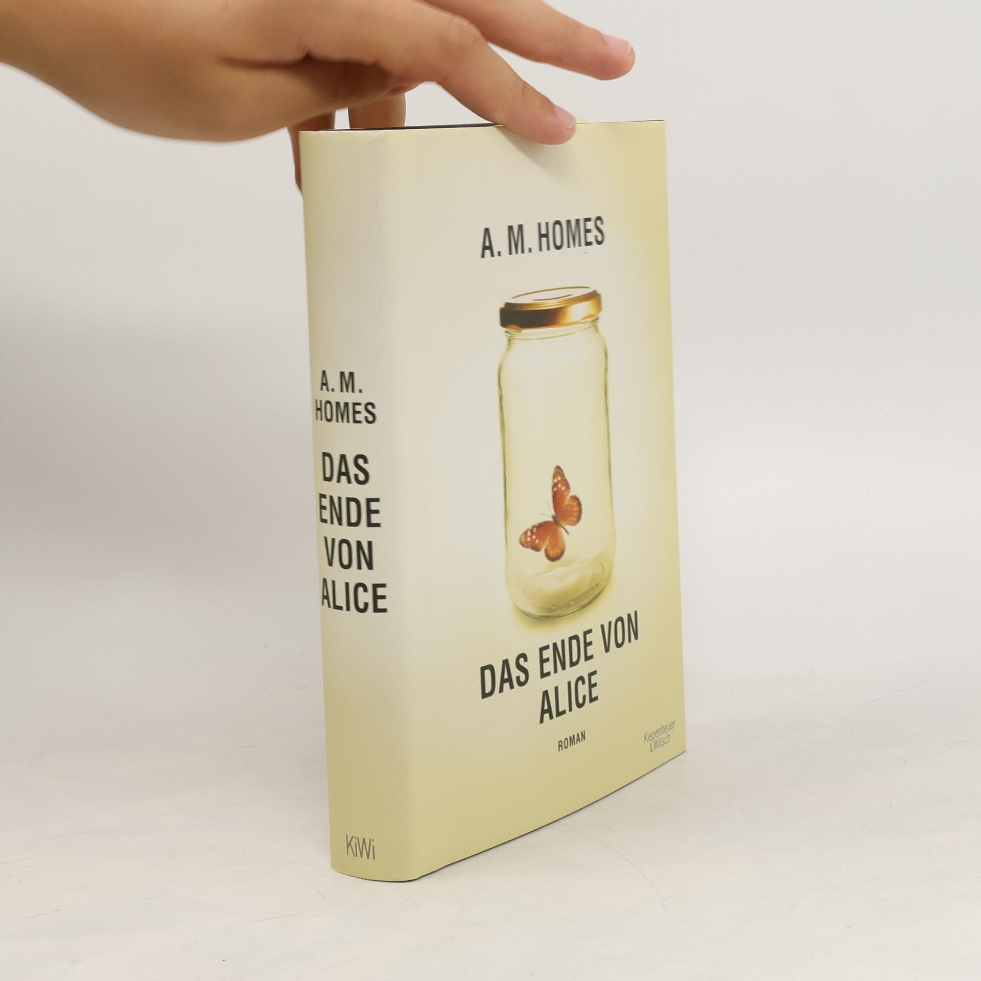 A. M. Homes Das Ende von Alice