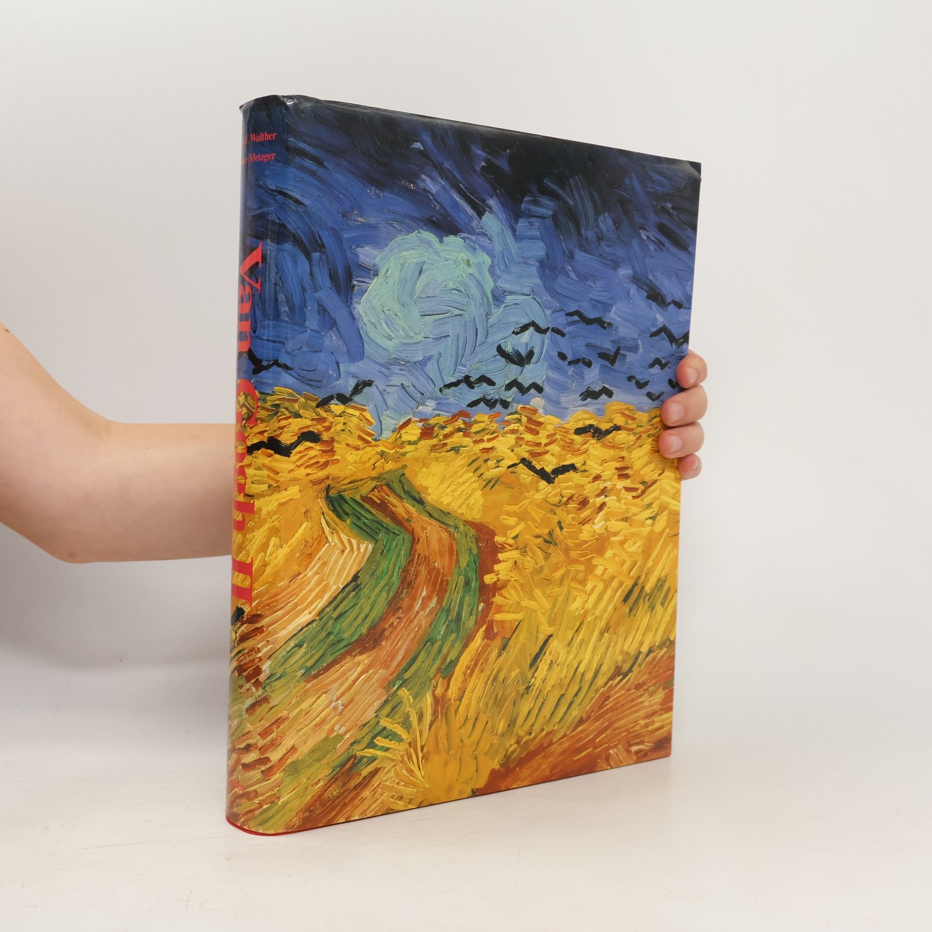 Autorenkollektiv Van Gogh. Sämtliche Gemälde