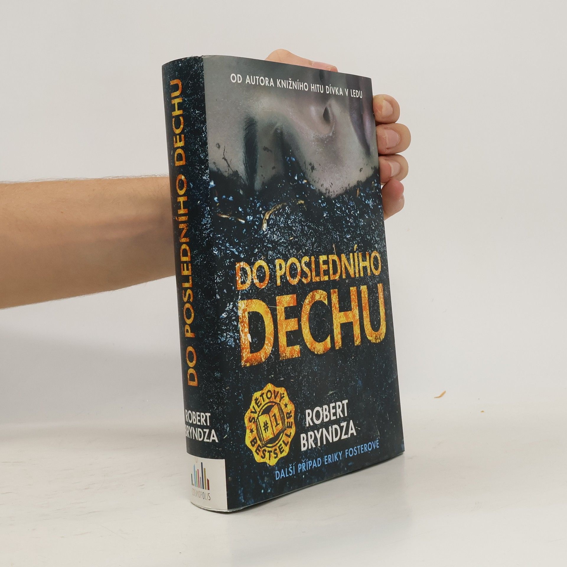 Robert Bryndza Do posledního dechu. Další případ Eriky Fosterové