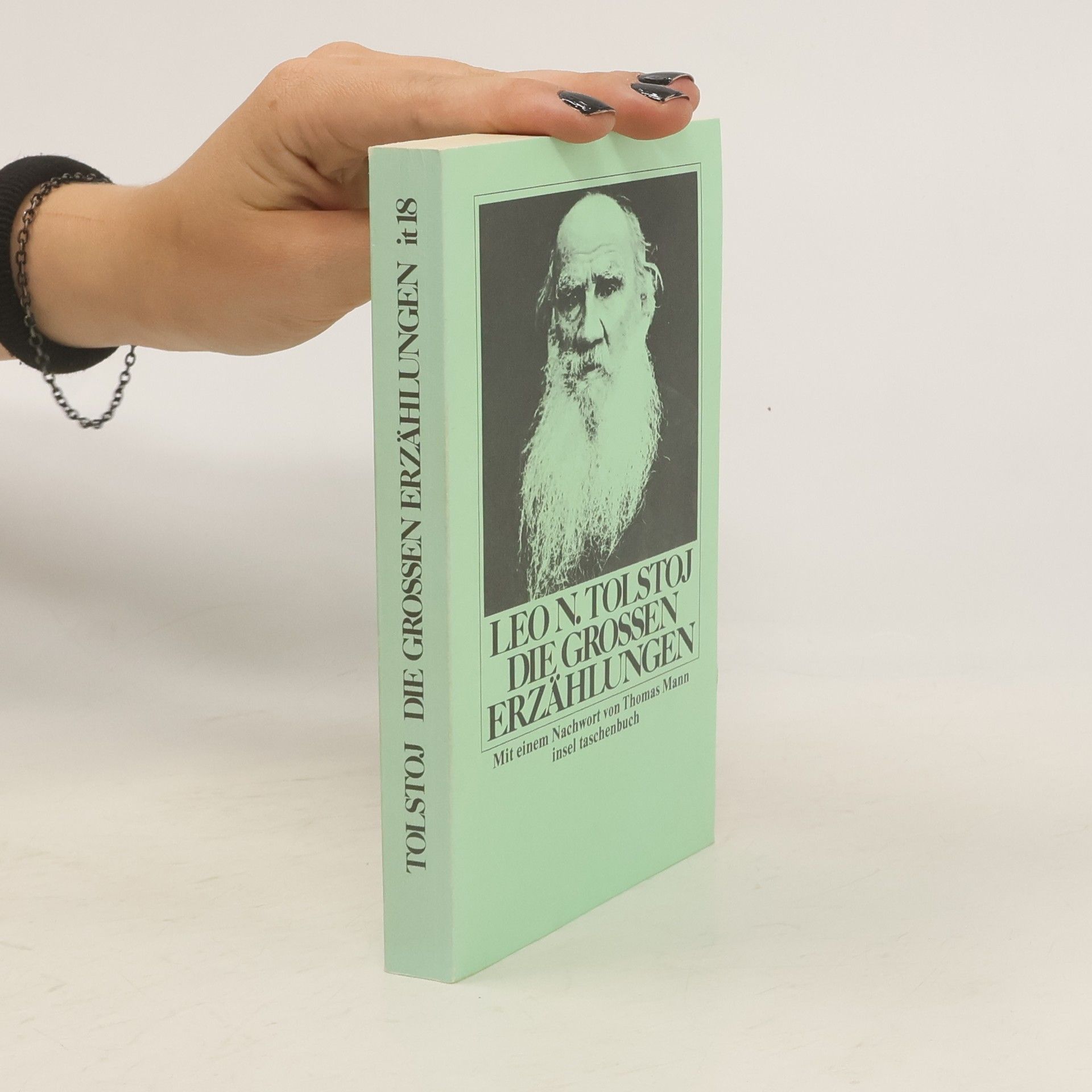 Lew Nikolajewitsch Tolstoi Die grossen Erzählungen
