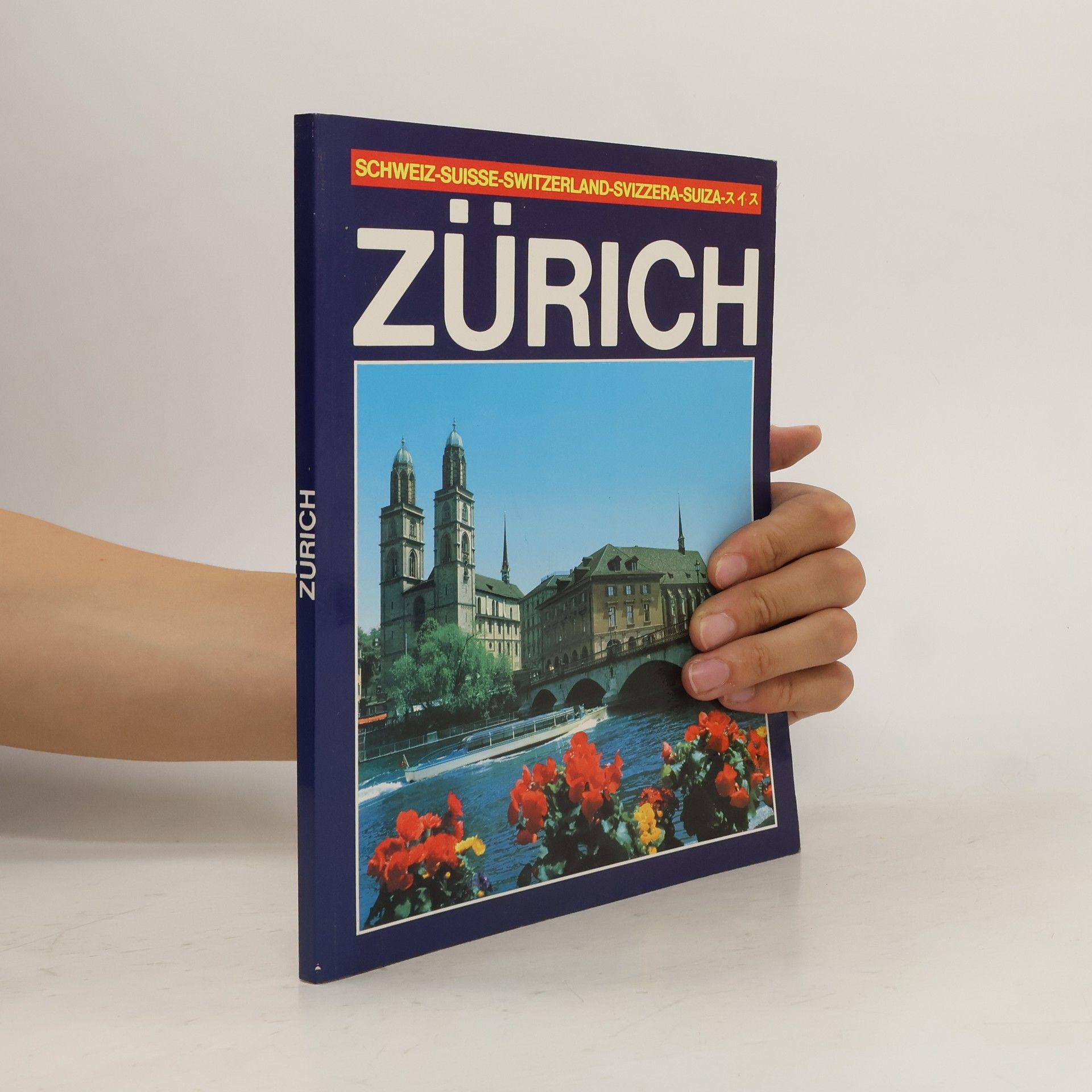 Dino Sassi Zürich