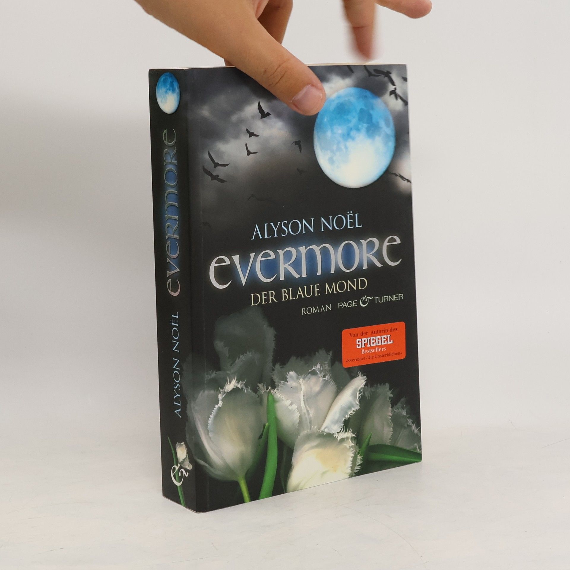 Alyson Noël Evermore: Der blaue Mond