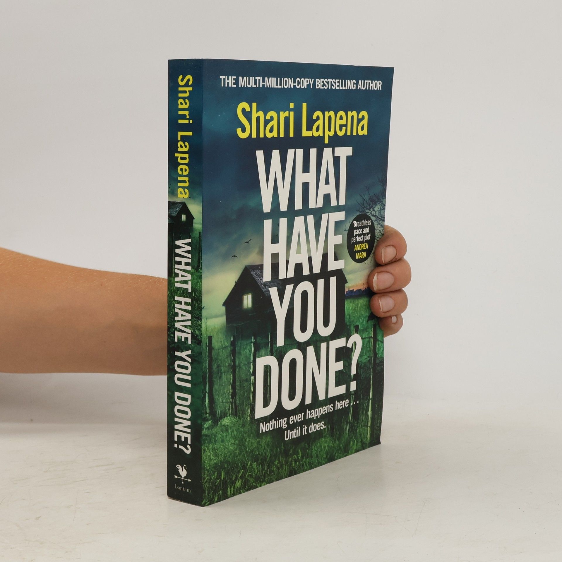 Shari Lapena What Have You Done?: The addictive and haunting new thriller from the Richard & Judy bestselling author