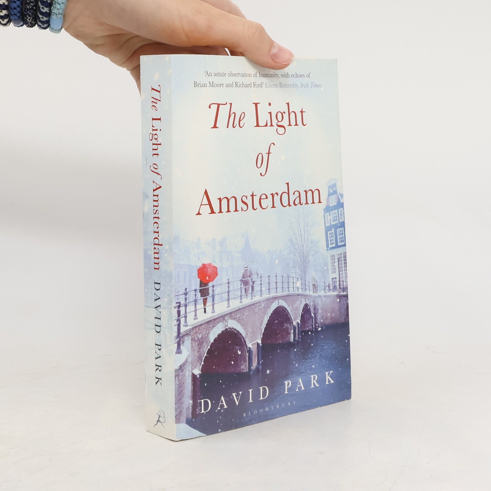 David Park The Light of Amsterdam
