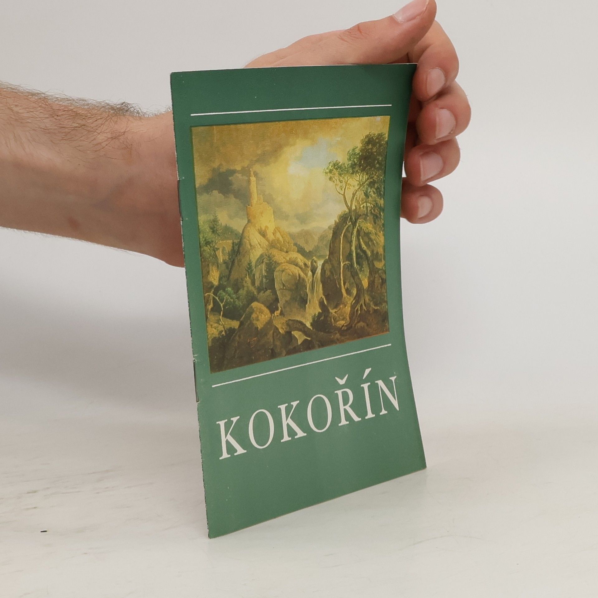 Miroslav Brožovský Kokořín