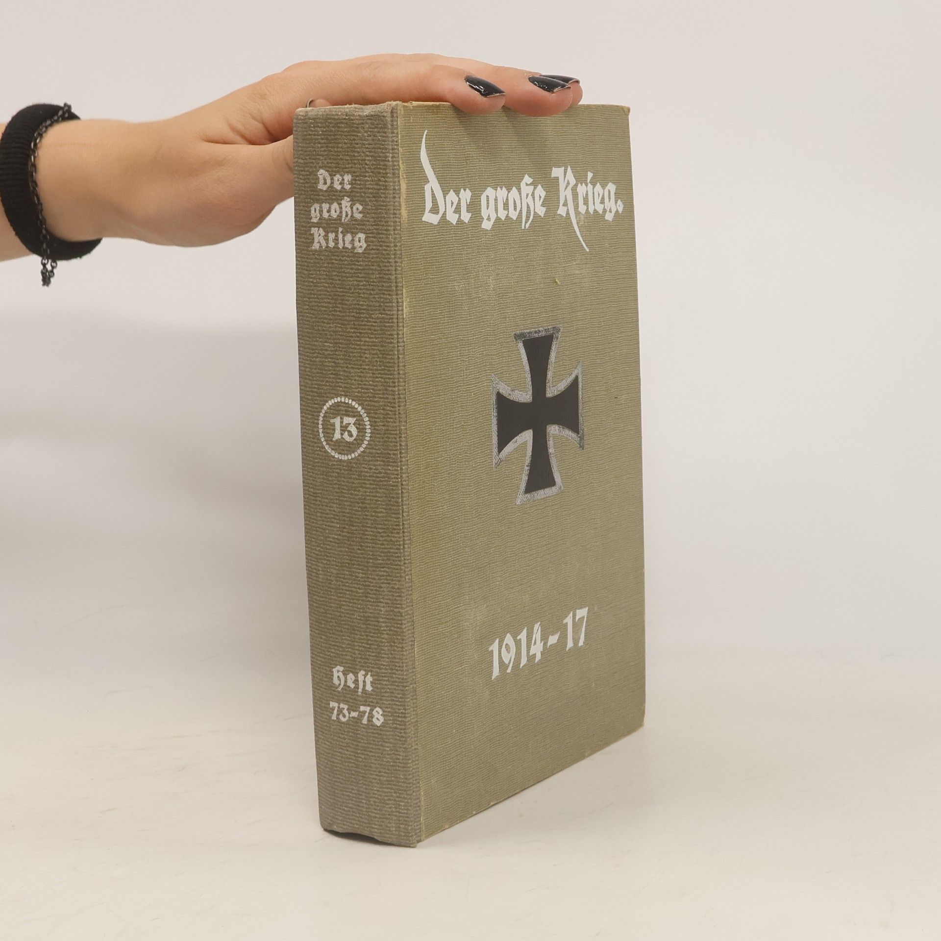 Collectif d'auteurs Der grosse Krieg 13