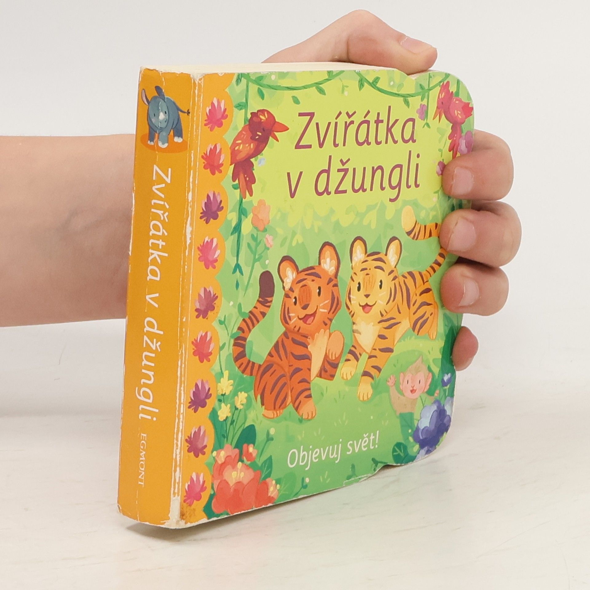 Ginger Swift Zvířátka v džungli : objevuj svět!