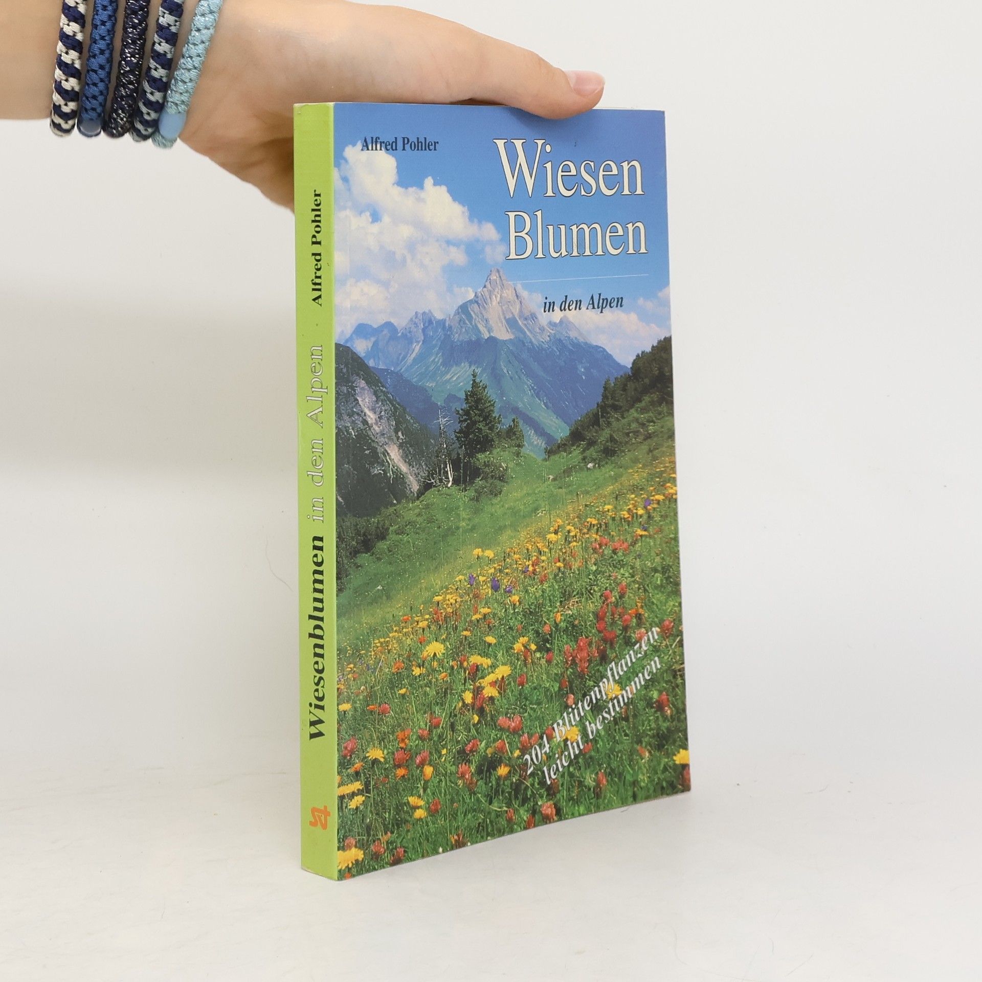 Alfred Pohler Wiesenblumen in den Alpen