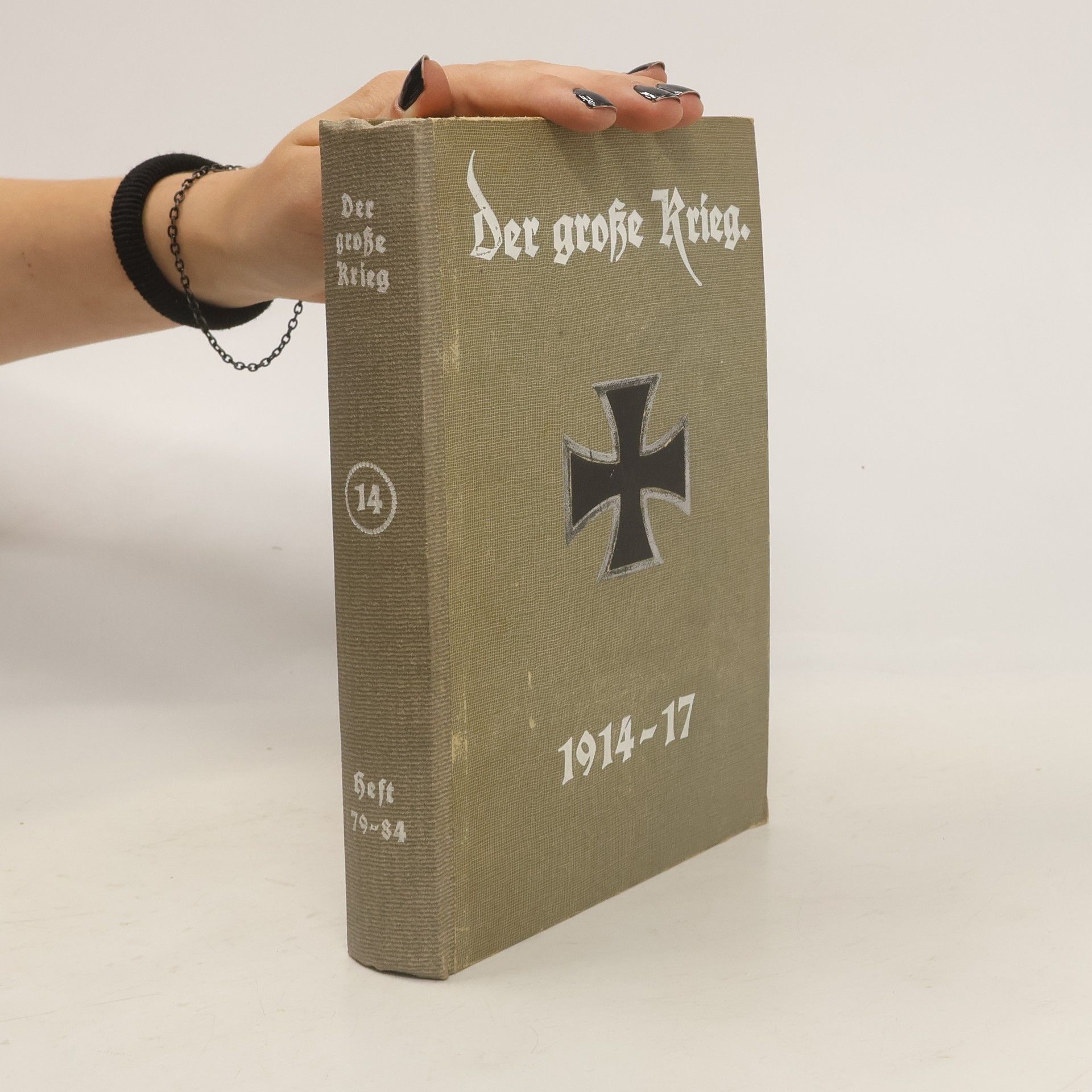 Collectif d'auteurs Der große Krieg 14