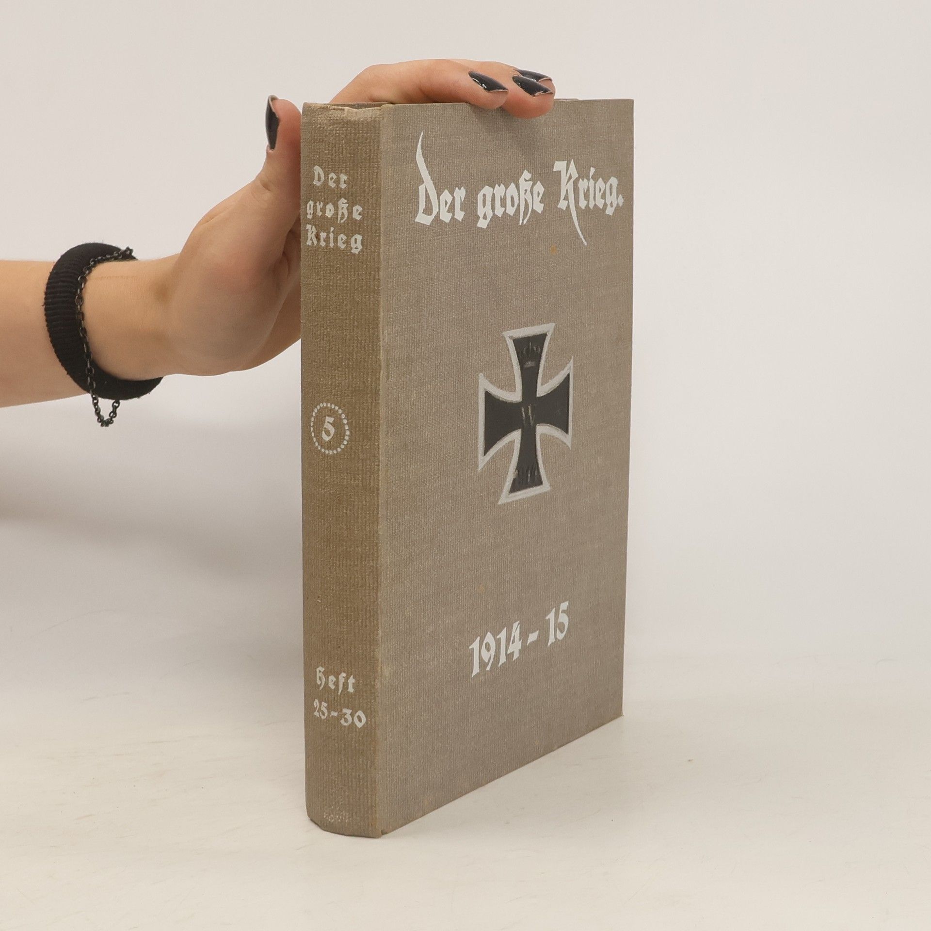 kolektiv Der große Krieg 5. 1914-15