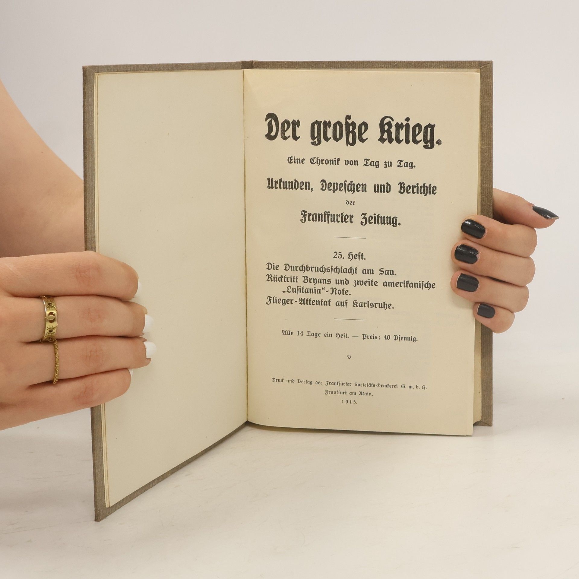 kolektiv Der große Krieg 5. 1914-15