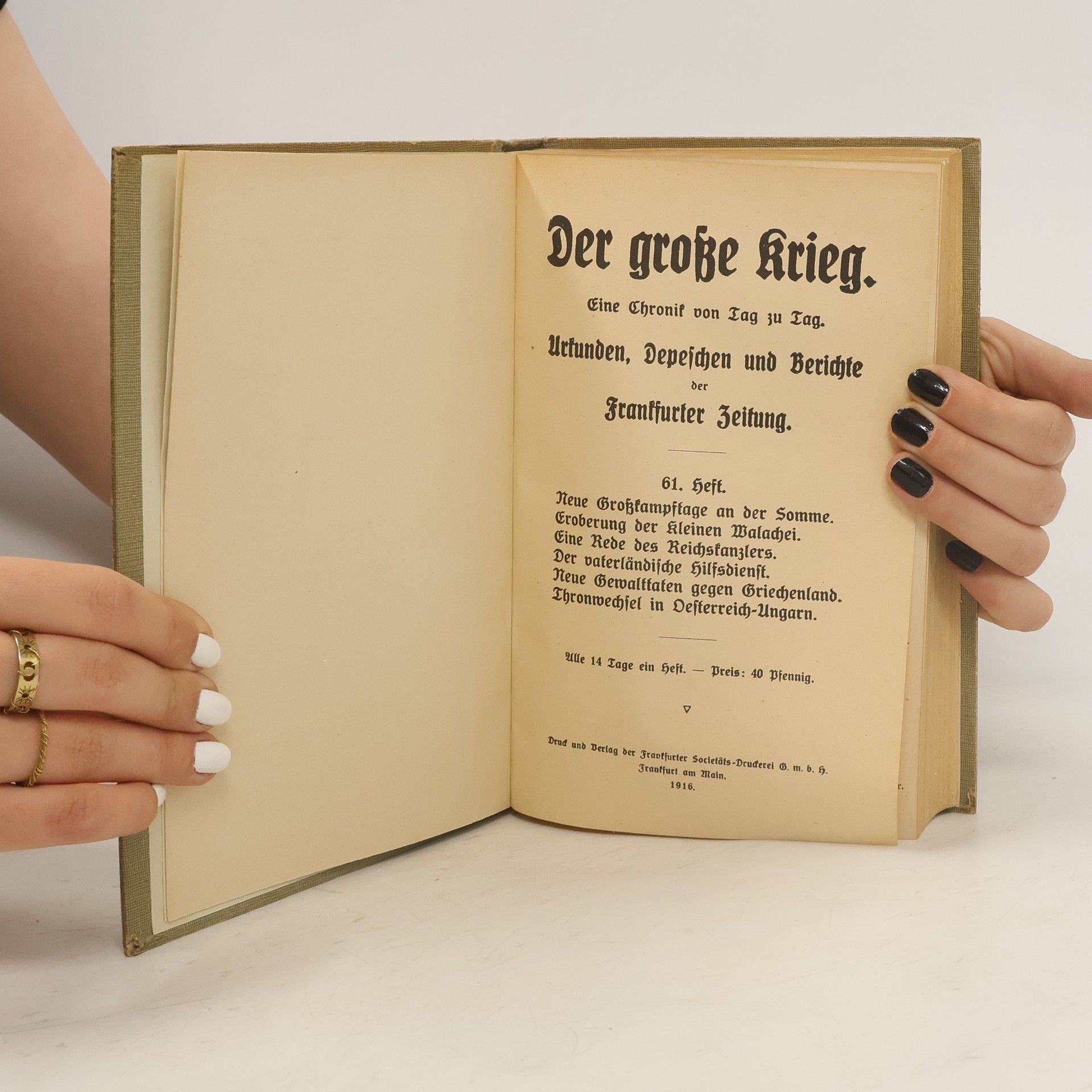 kolektiv Der große Krieg 11. 1914-17
