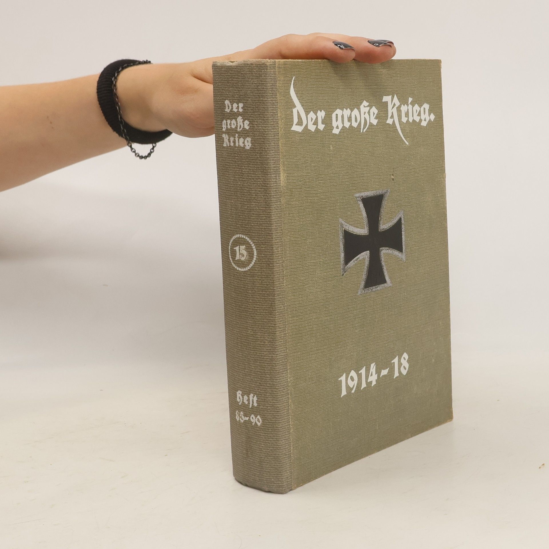 kolektiv Der große Krieg 15. 1914-18