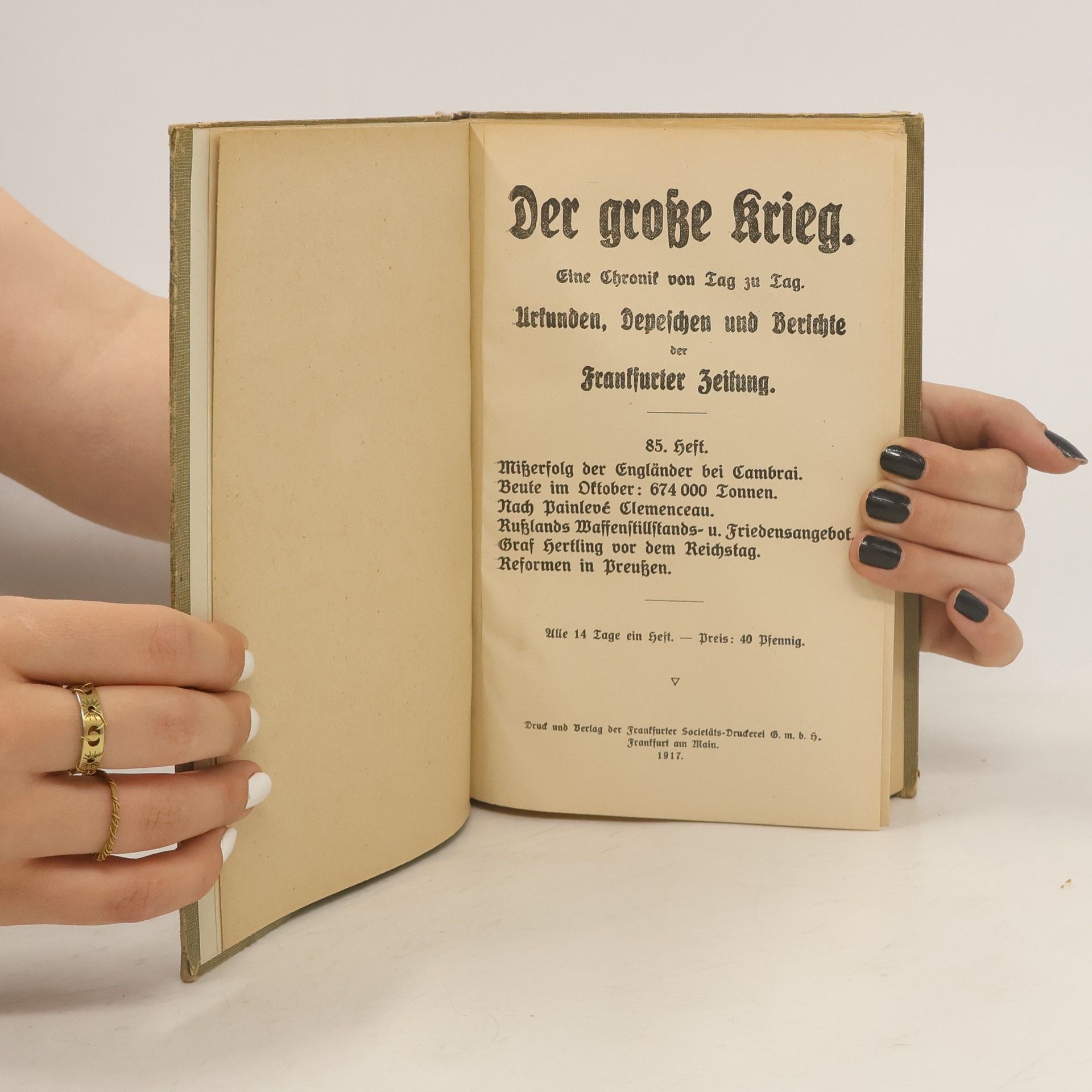 kolektiv Der große Krieg 15. 1914-18
