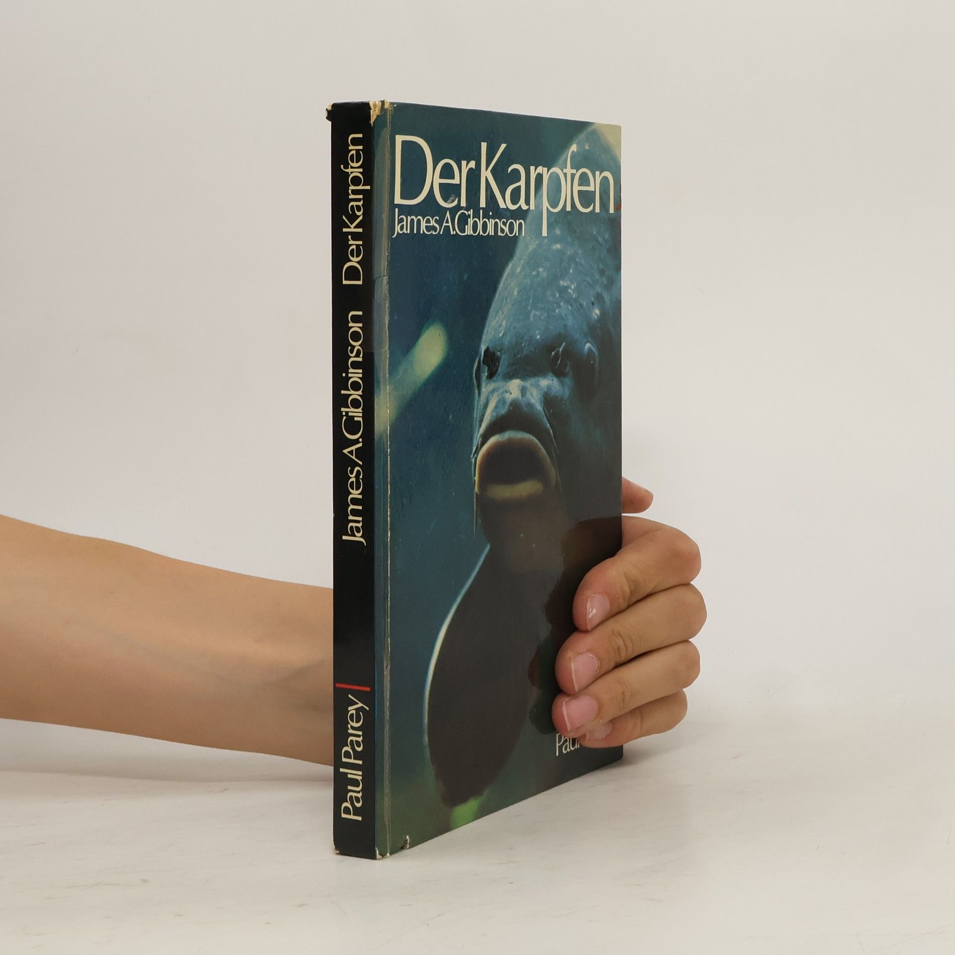 James Arthur Gibbinson Der Karpfen