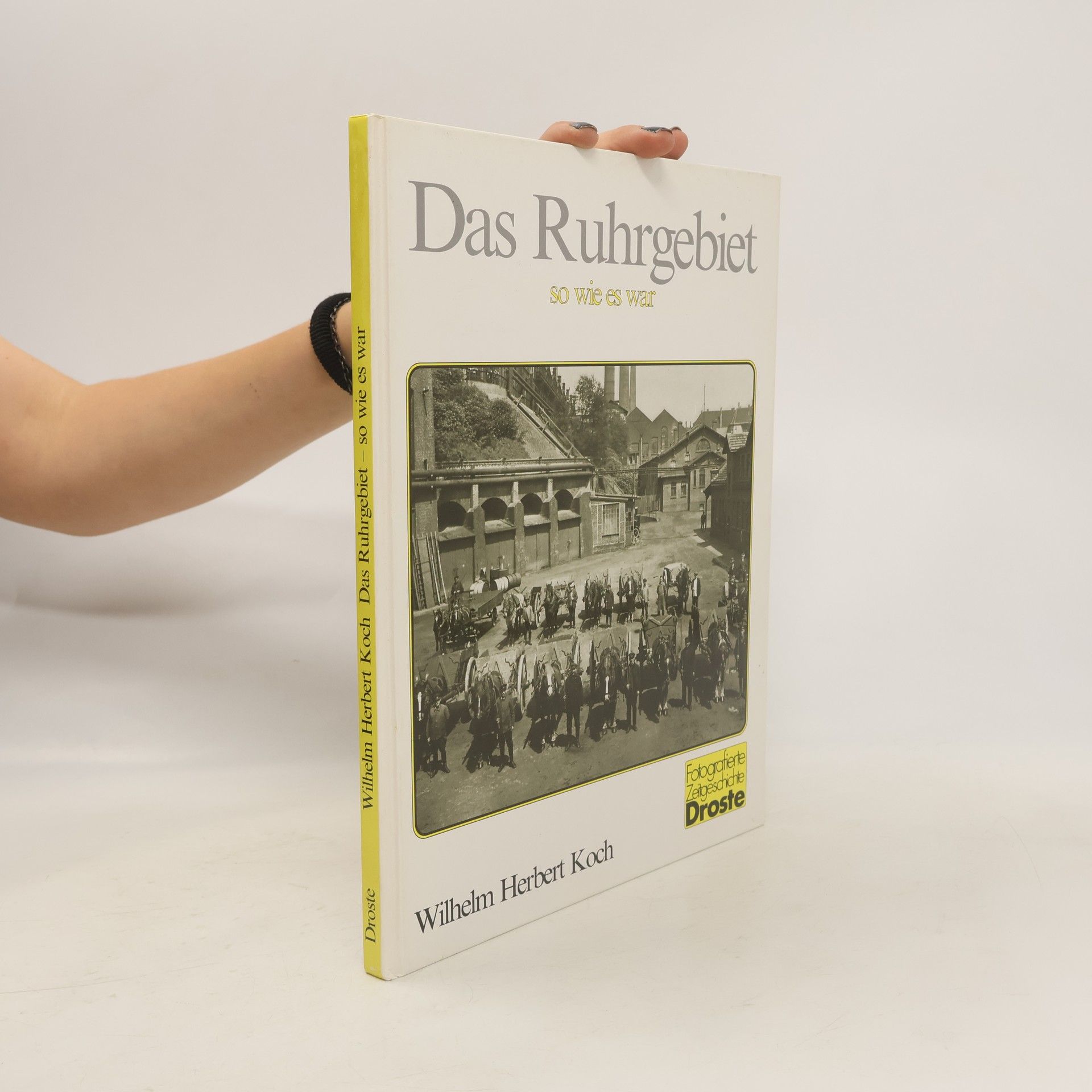 Wilhelm Herbert Koch Das Ruhrgebiet - so wie es war