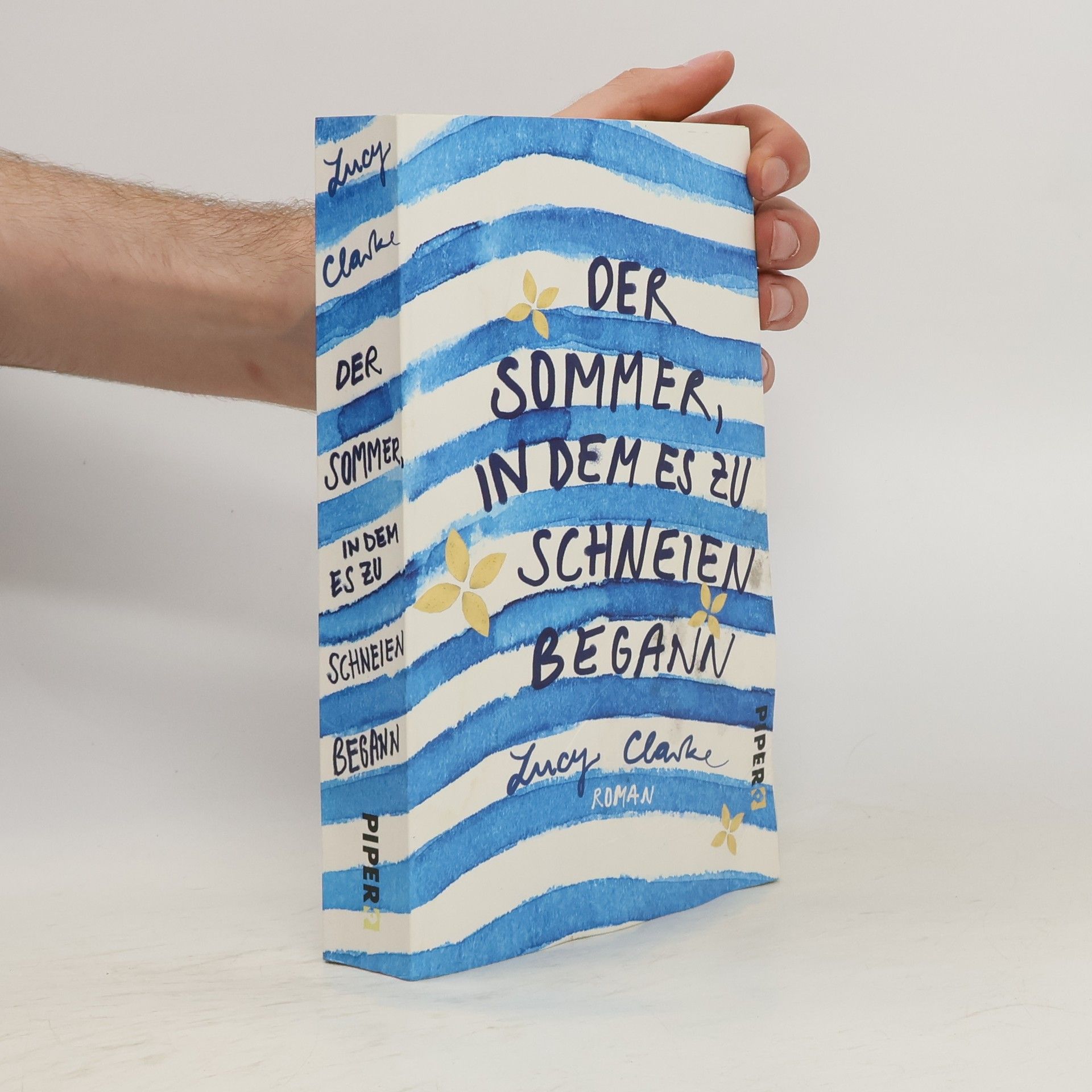 Lucy Clarke Der Sommer, in dem es zu schneien begann