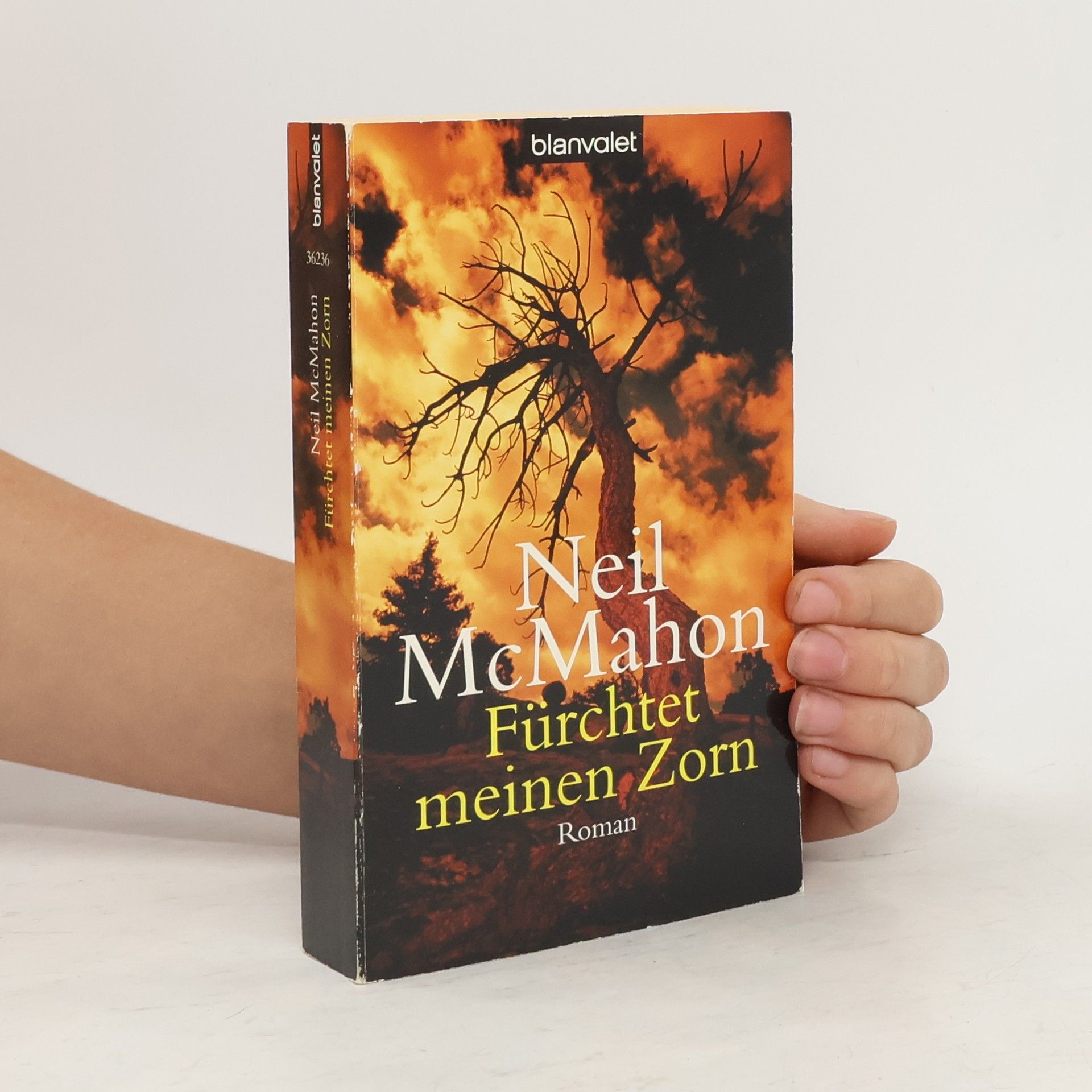 Neil McMahon Fürchtet meinen Zorn