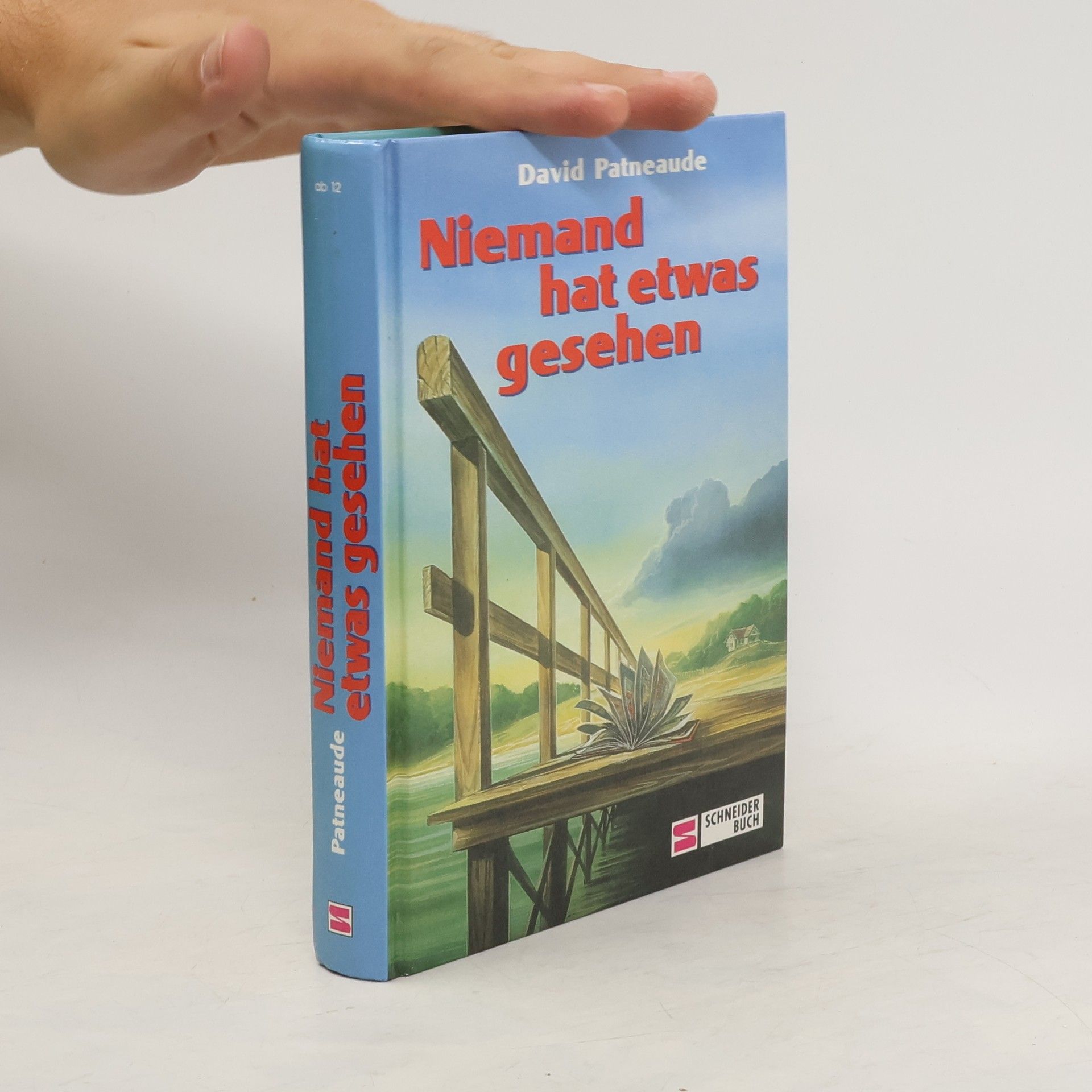 David Patneaude Niemand hat etwas gesehen