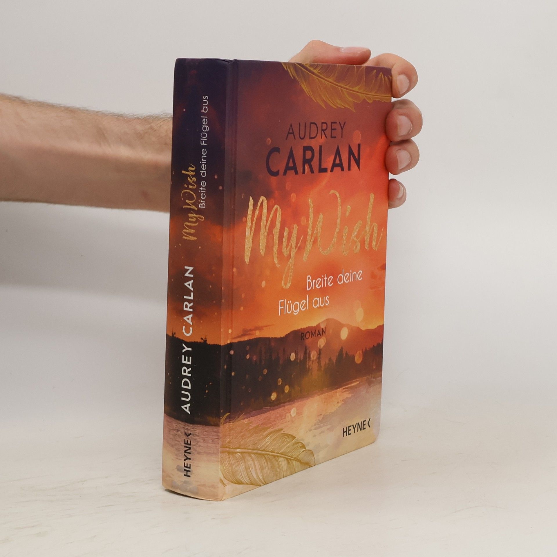 Audrey Carlan My Wish