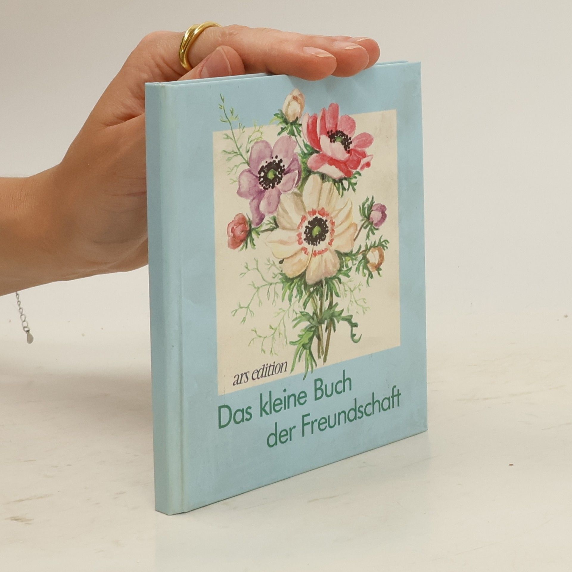 kolektiv Das kleine Buch der Freundschaft