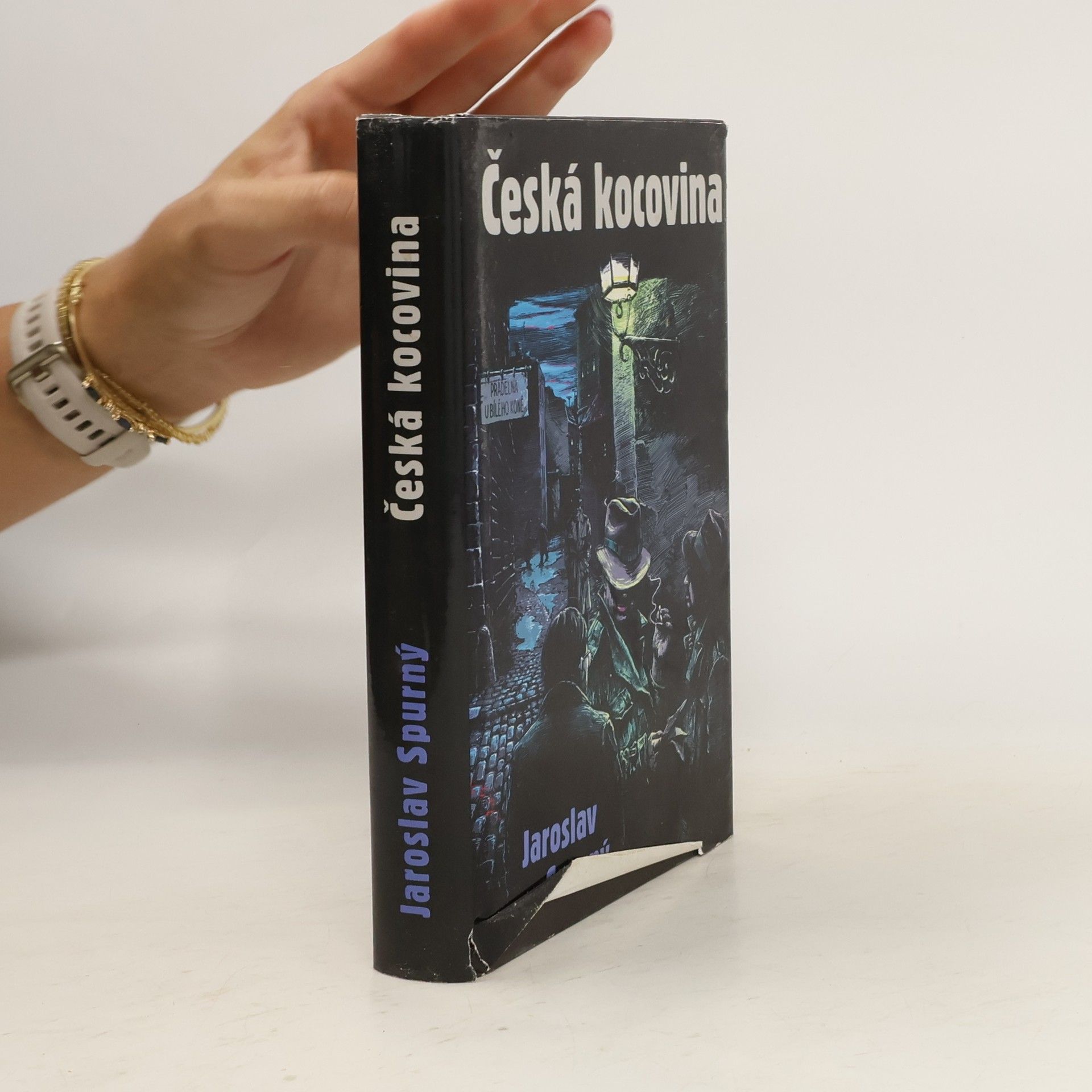 Jaroslav Spurný Česká kocovina