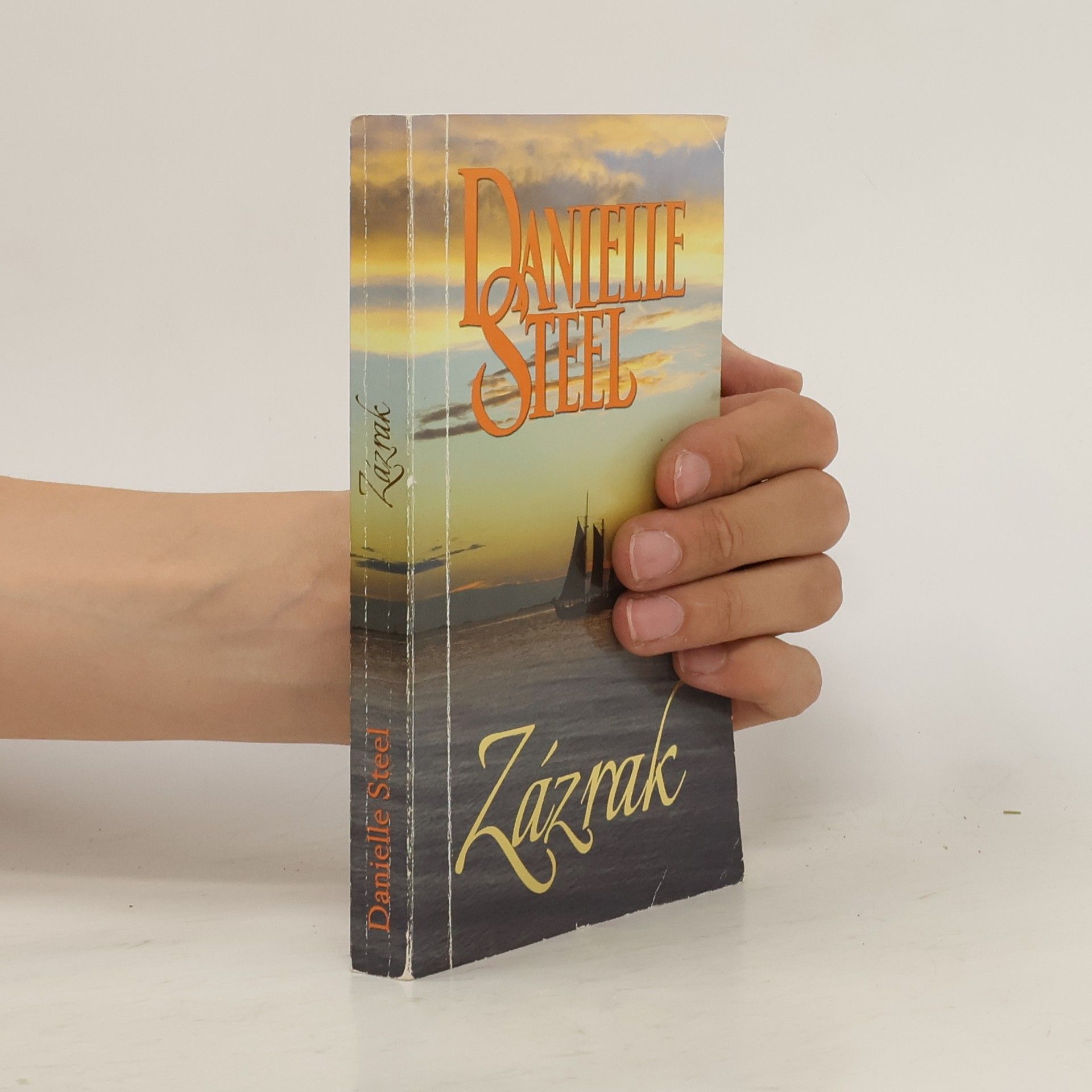 Danielle Steel Zázrak