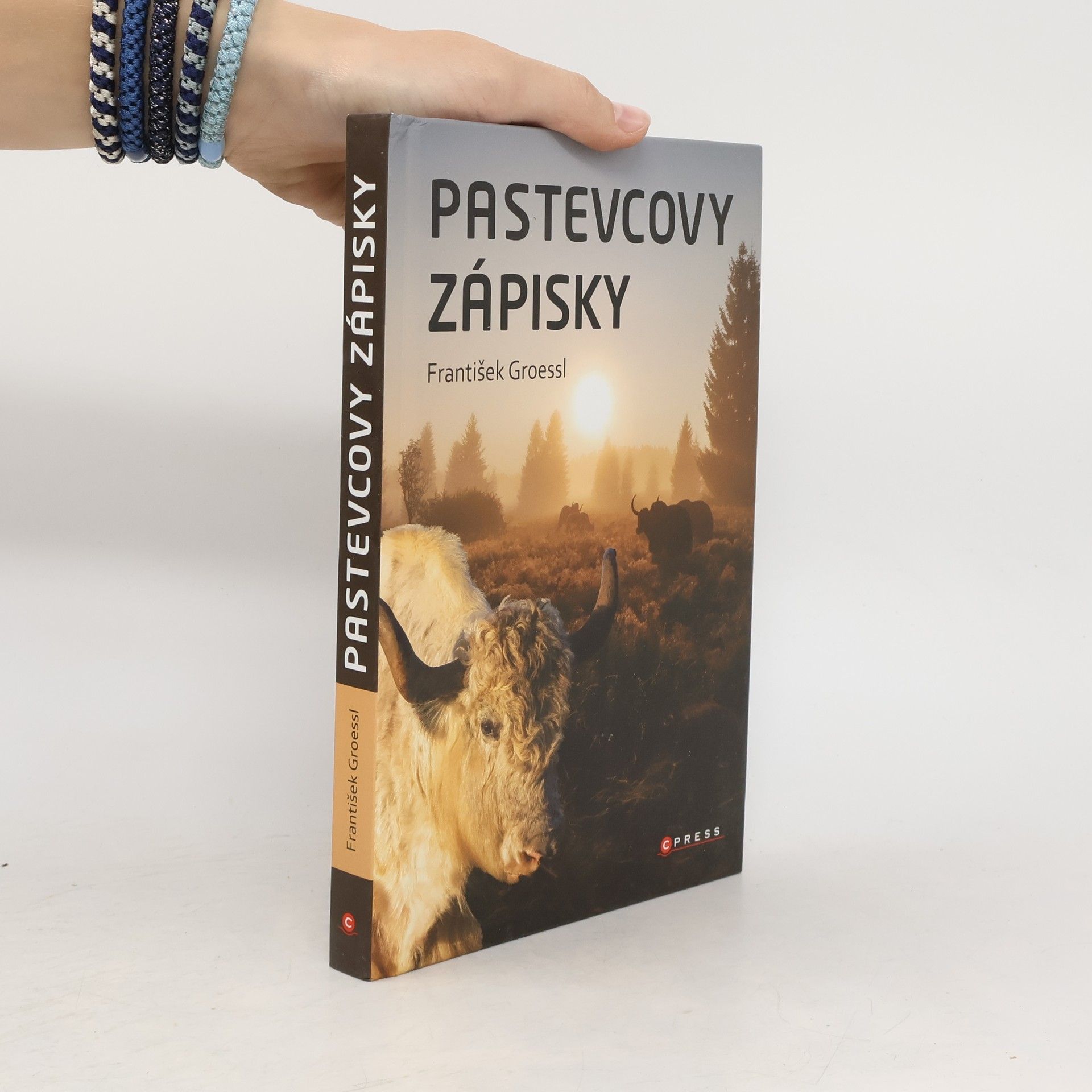 František Groessl Pastevcovy zápisky