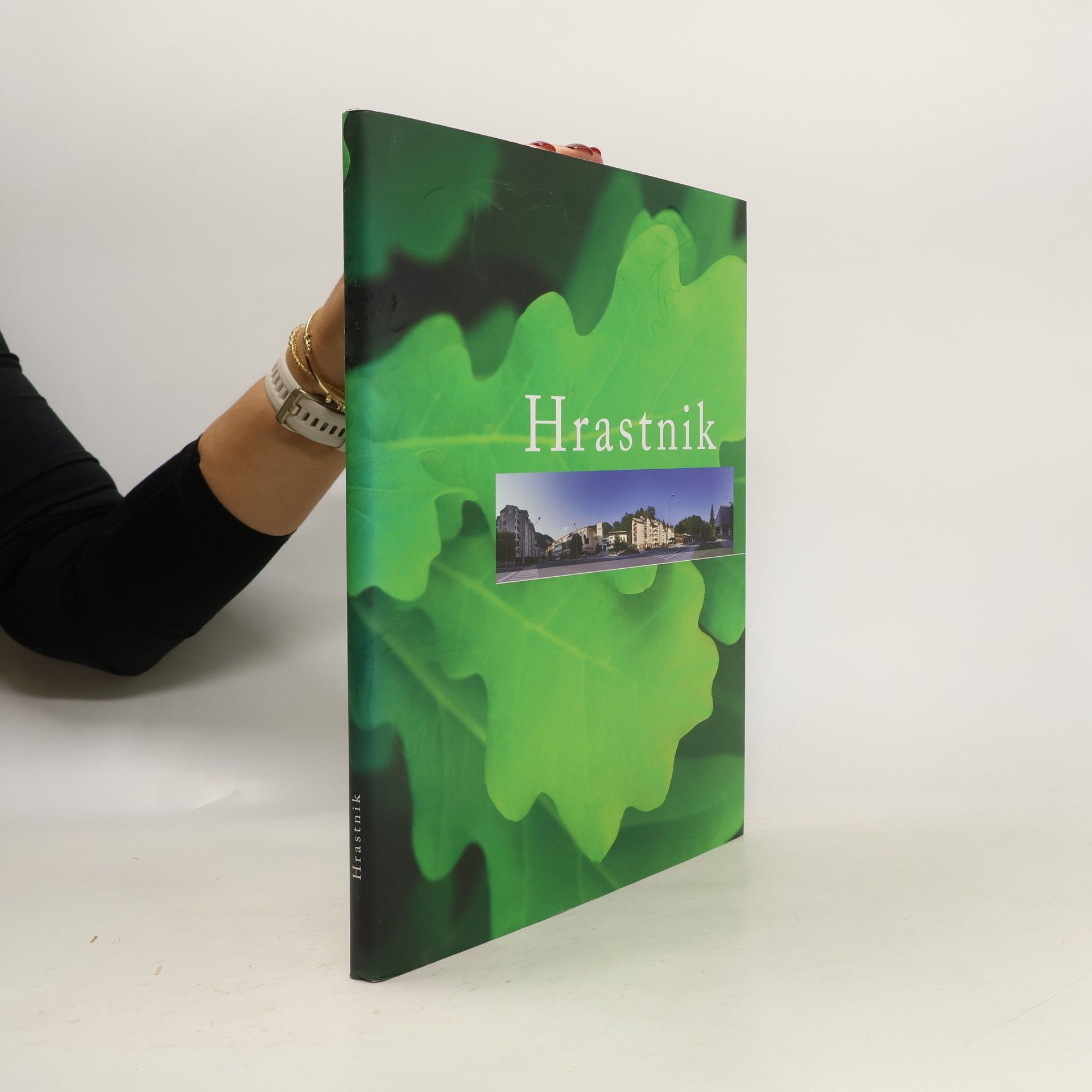 kolektiv Hrastnik