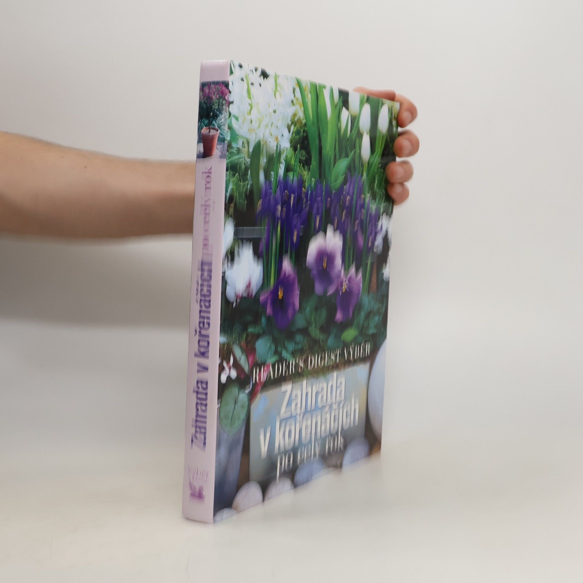 Autorenkollektiv Zahrada v kořenáčích po celý rok