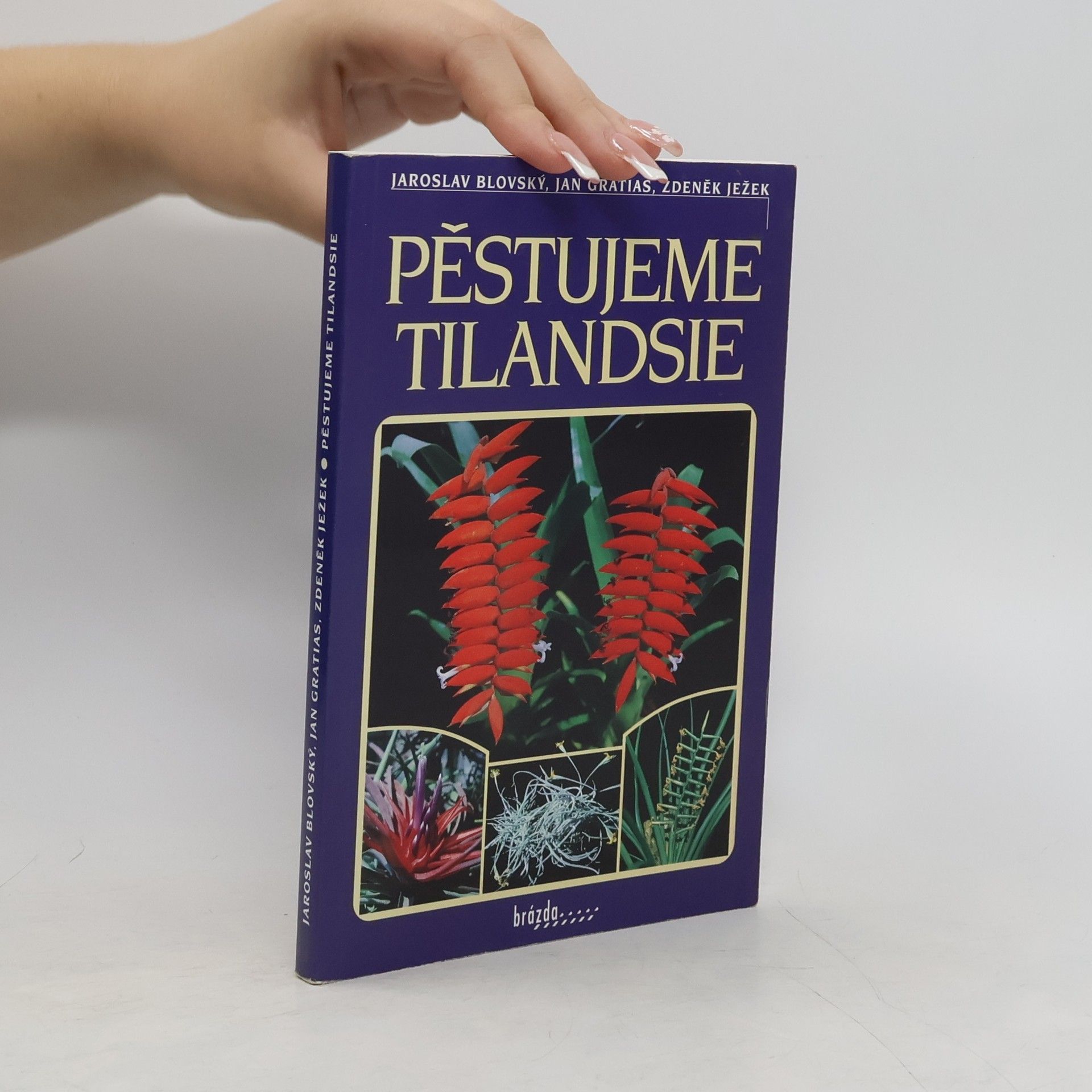 Zdeněk Ježek Pěstujeme tilandsie