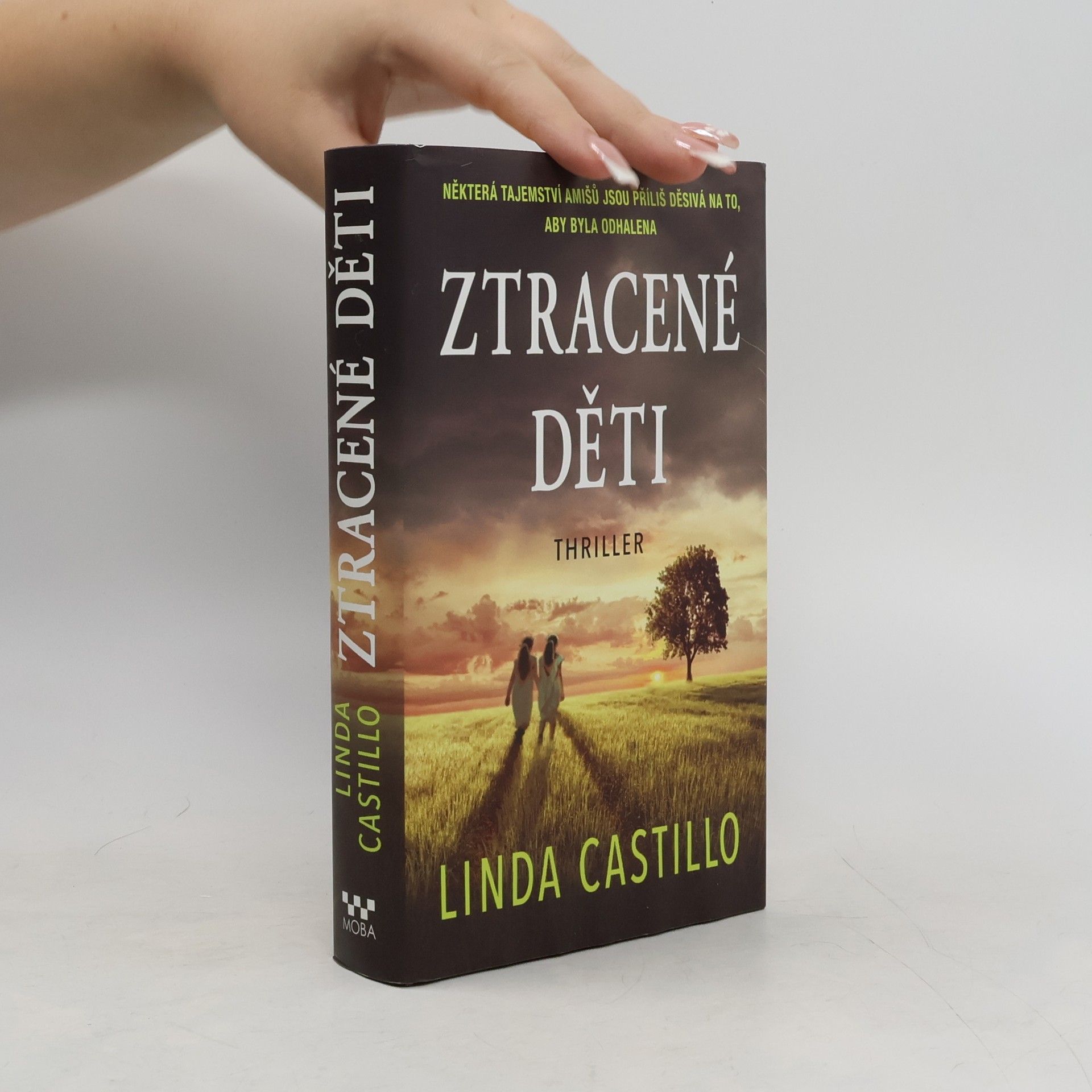 Linda Castillo Ztracené děti