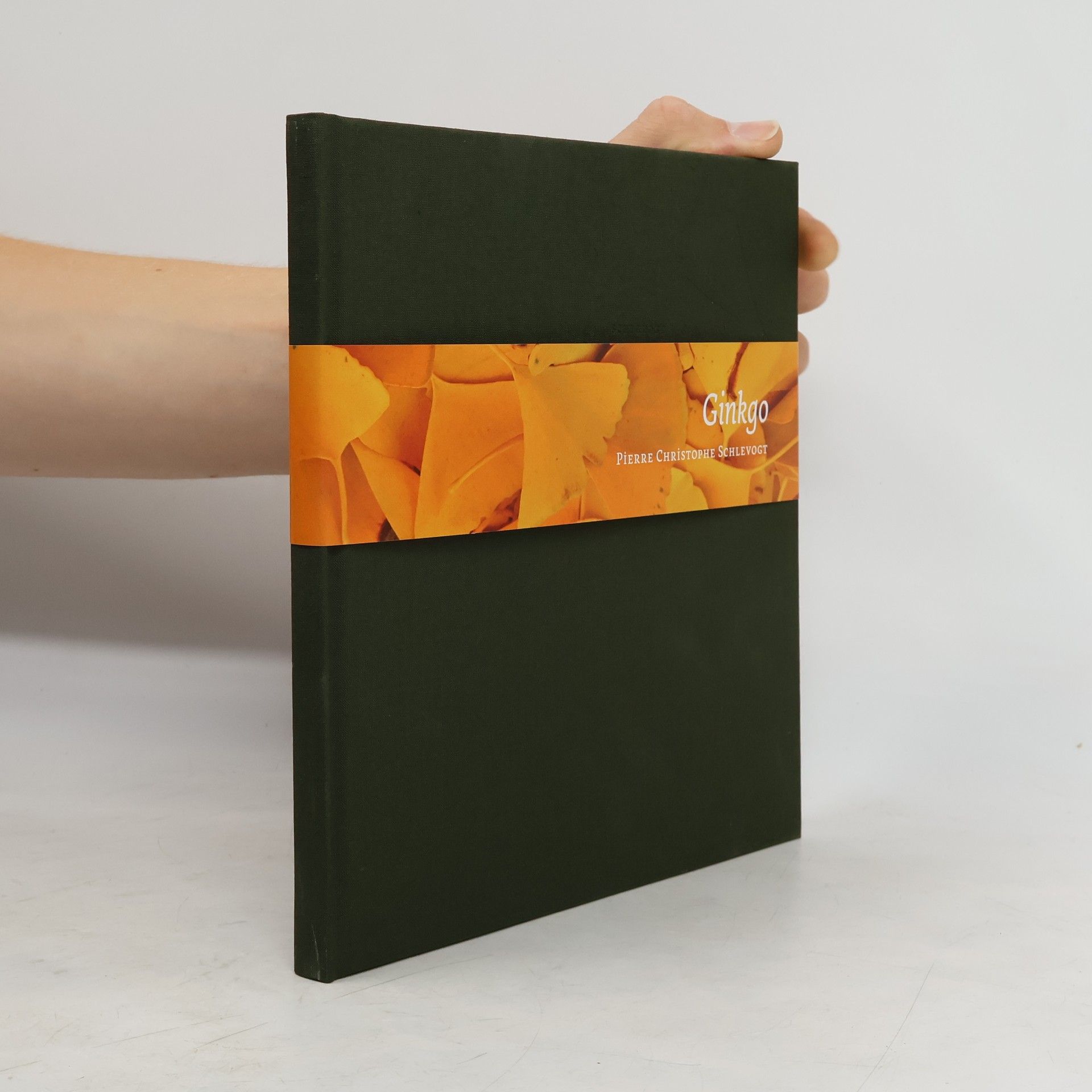 Pierre Christophe Schlevogt Ginkgo