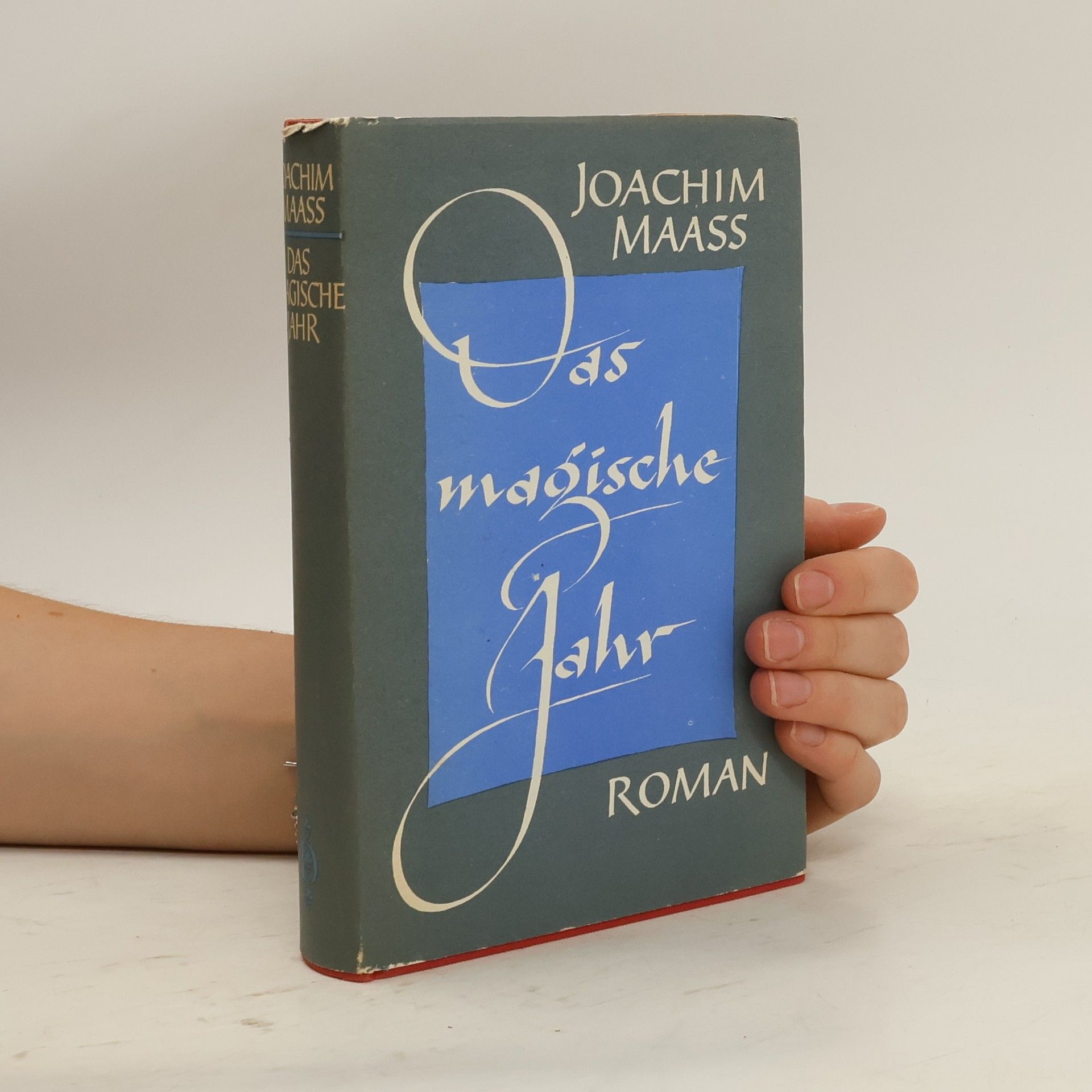 Joachim Maass Das magische Jahr