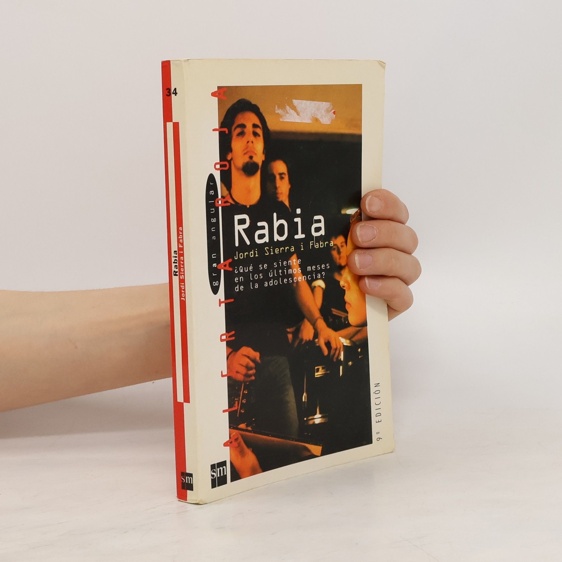 Jordi Sierra i Fabra Rabia